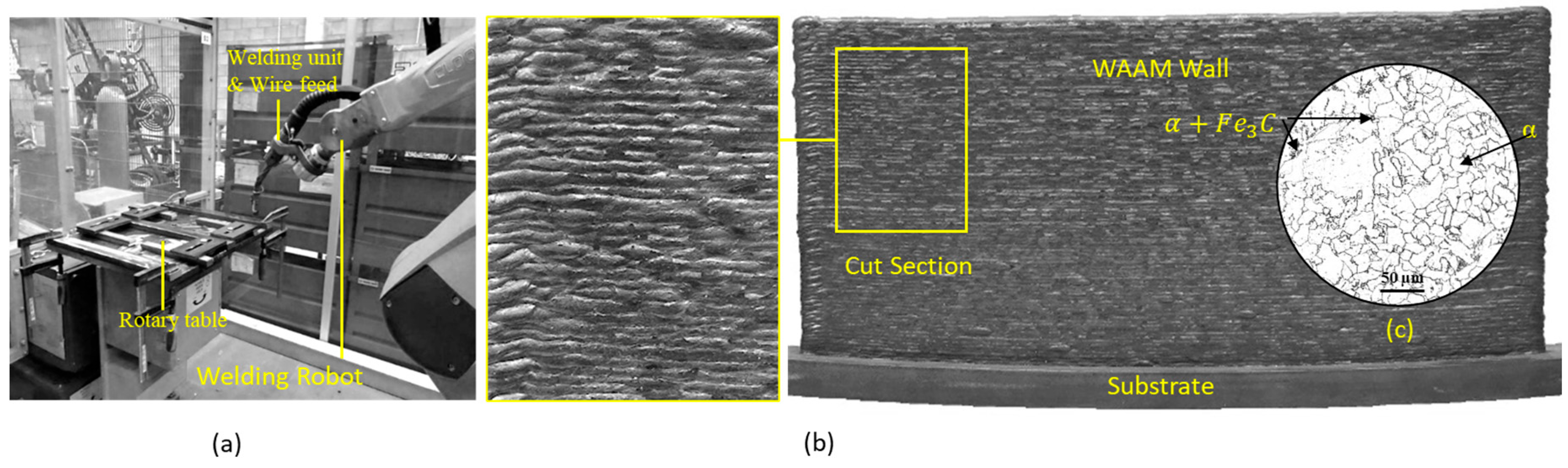 Applsci 15 10936 g001