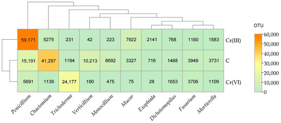 Analysis of Changes in the Microbial Biodiversity of Soil