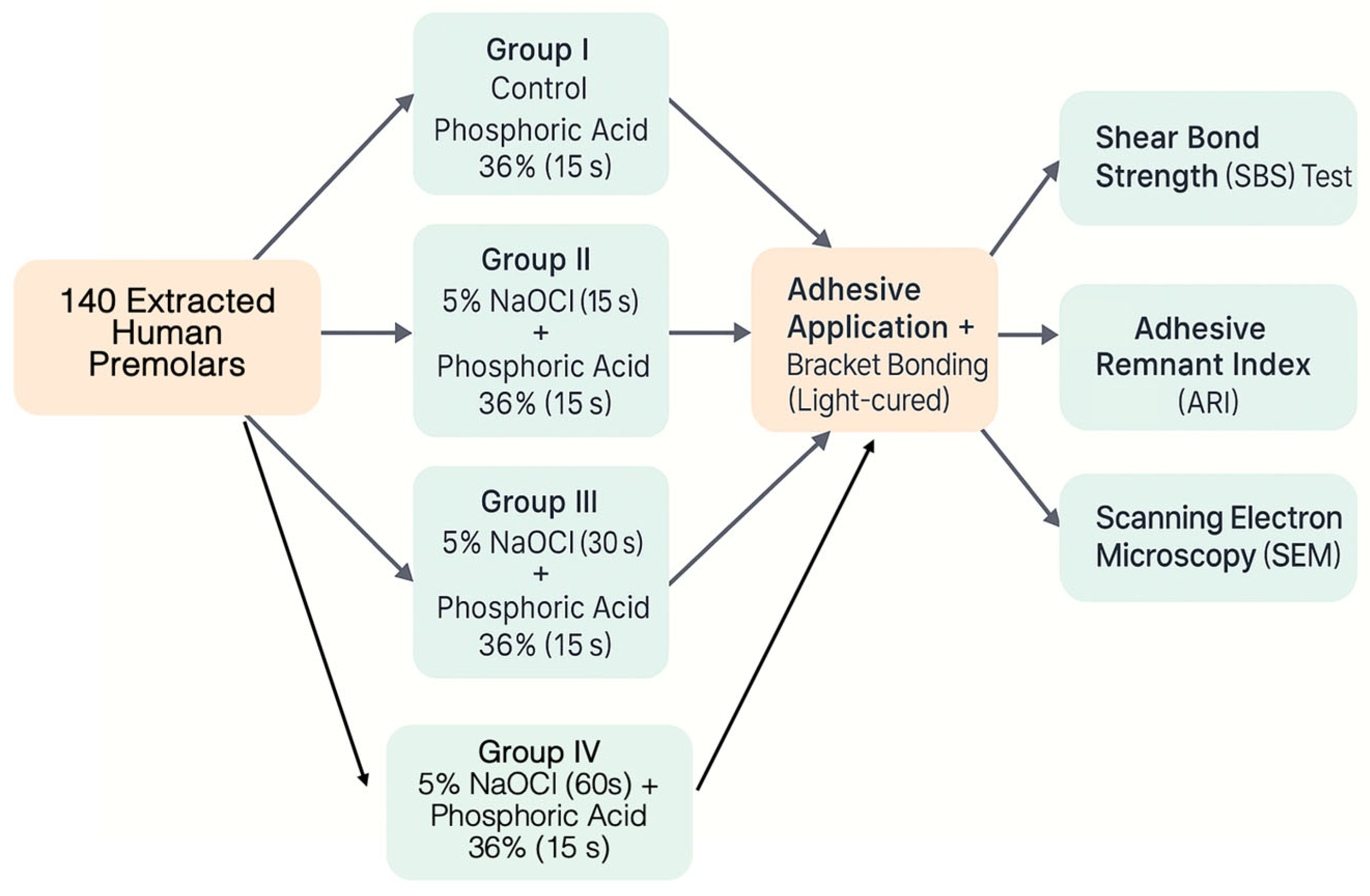 Applsci 15 10952 g001