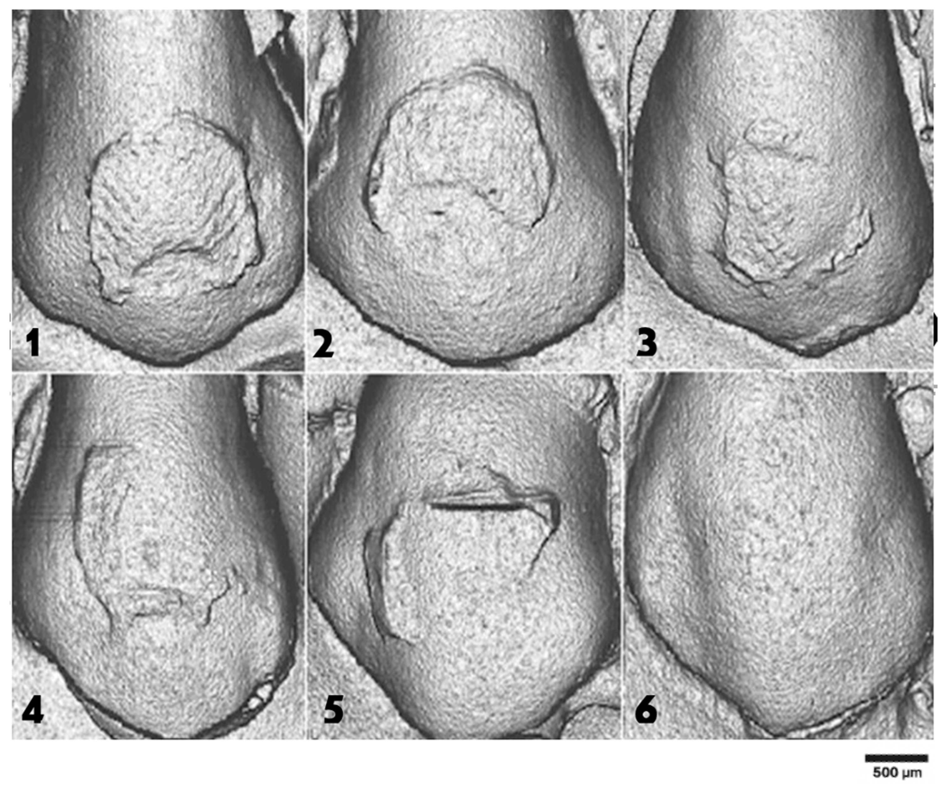 Applsci 15 10952 g002