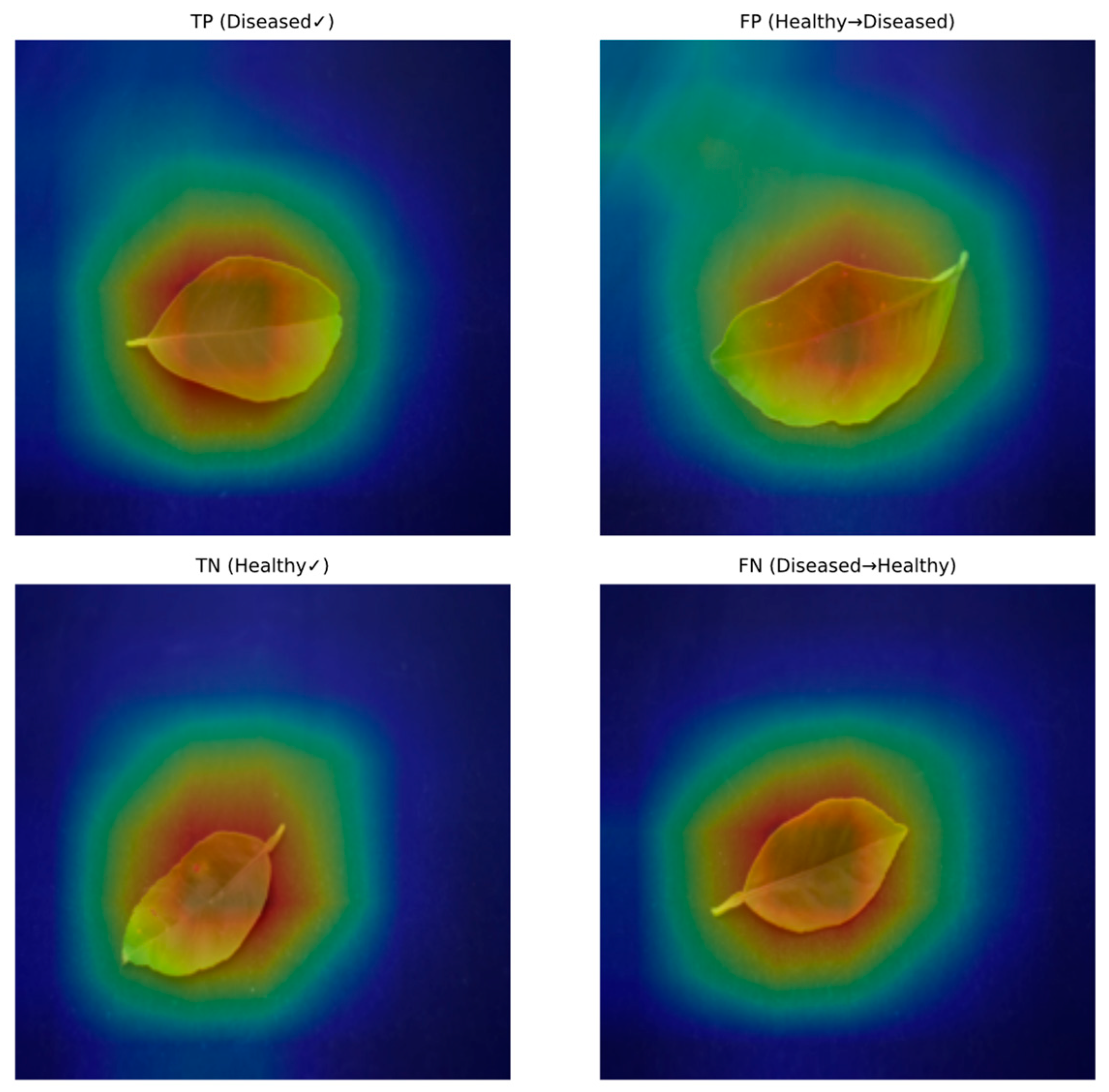 Applsci 15 10988 g006