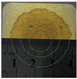 Applsci 15 11023 i010 Applsci 15 11023 i010