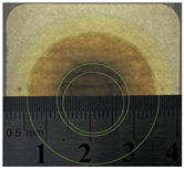 Applsci 15 11023 i011 Applsci 15 11023 i011