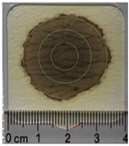 Applsci 15 11023 i013 Applsci 15 11023 i013