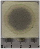 Applsci 15 11023 i020 Applsci 15 11023 i020