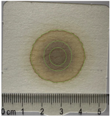 Applsci 15 11023 i022 Applsci 15 11023 i022