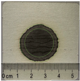 Applsci 15 11023 i023 Applsci 15 11023 i023