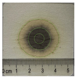 Applsci 15 11023 i024 Applsci 15 11023 i024