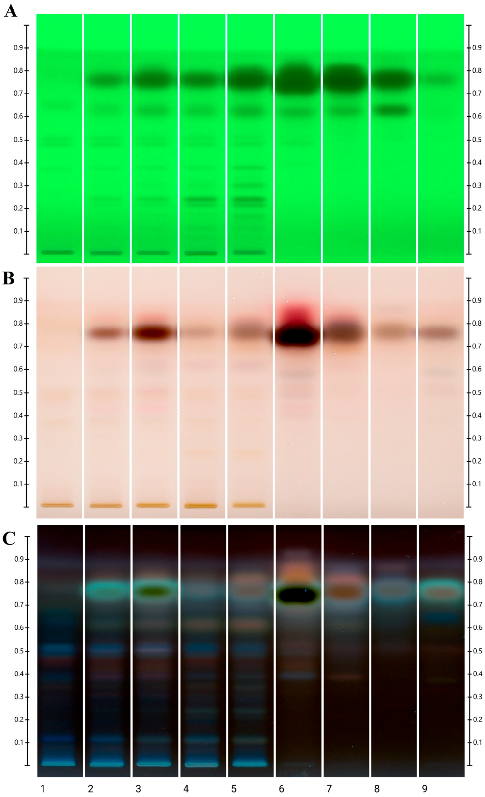 Applsci 15 11036 g001 Applsci 15 11036 g001