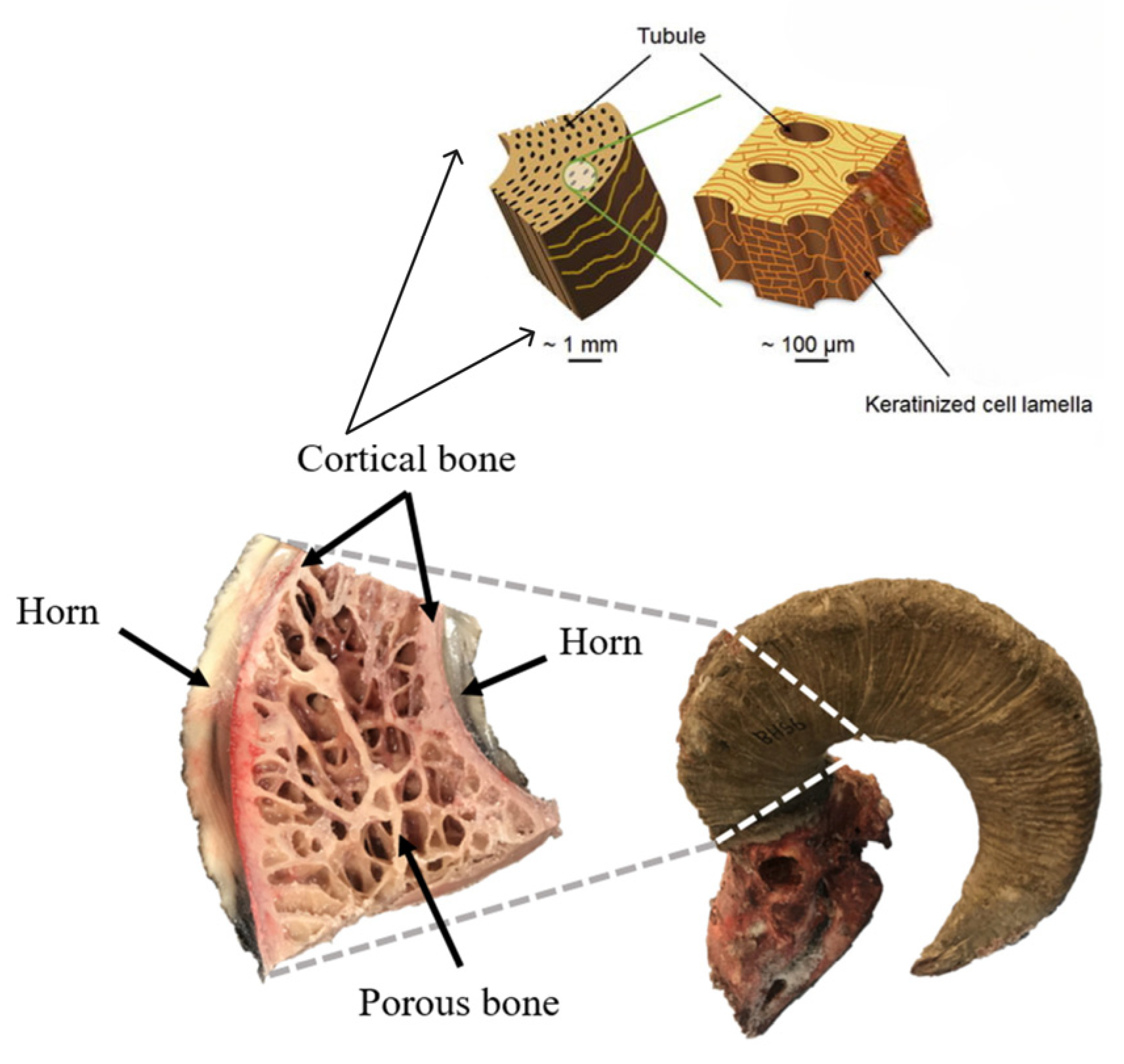 Applsci 15 11052 g001