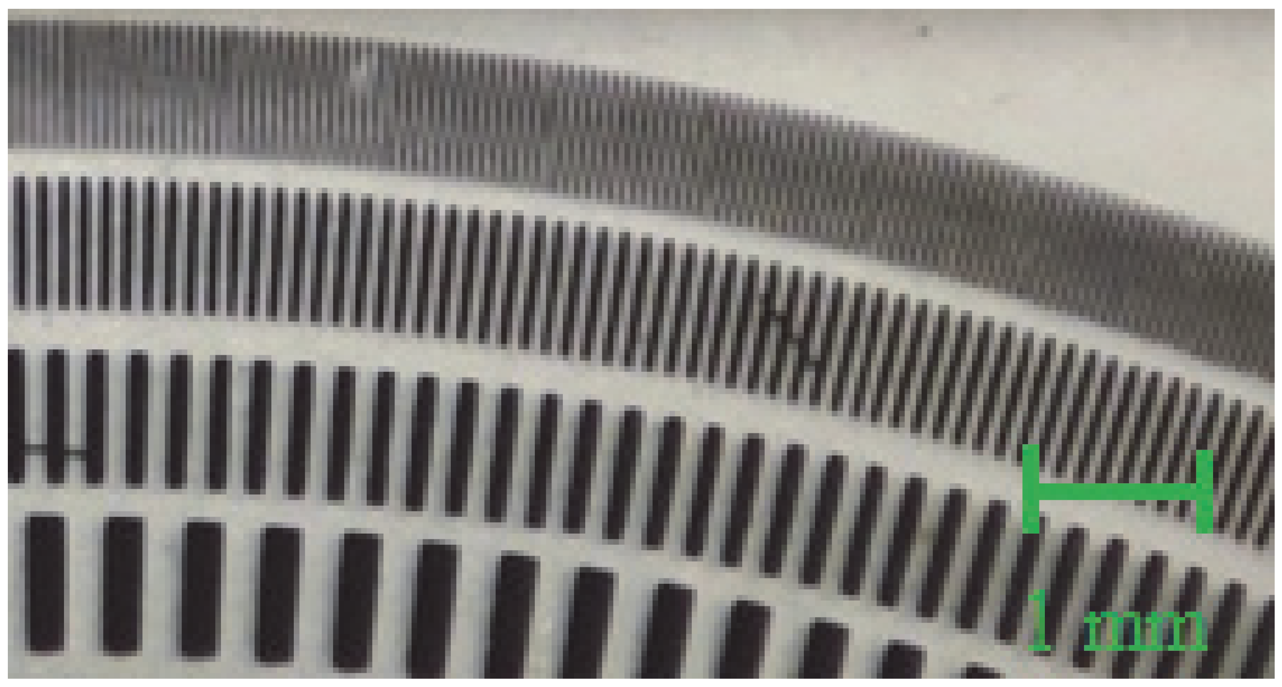 Applsci 15 11054 g007