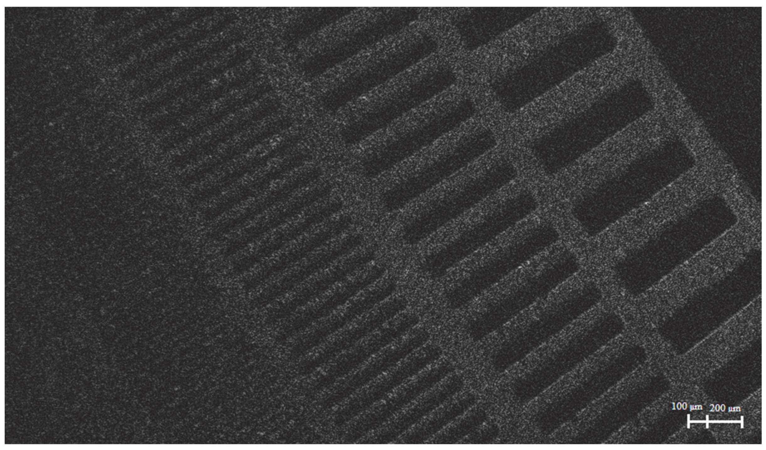 Applsci 15 11054 g014