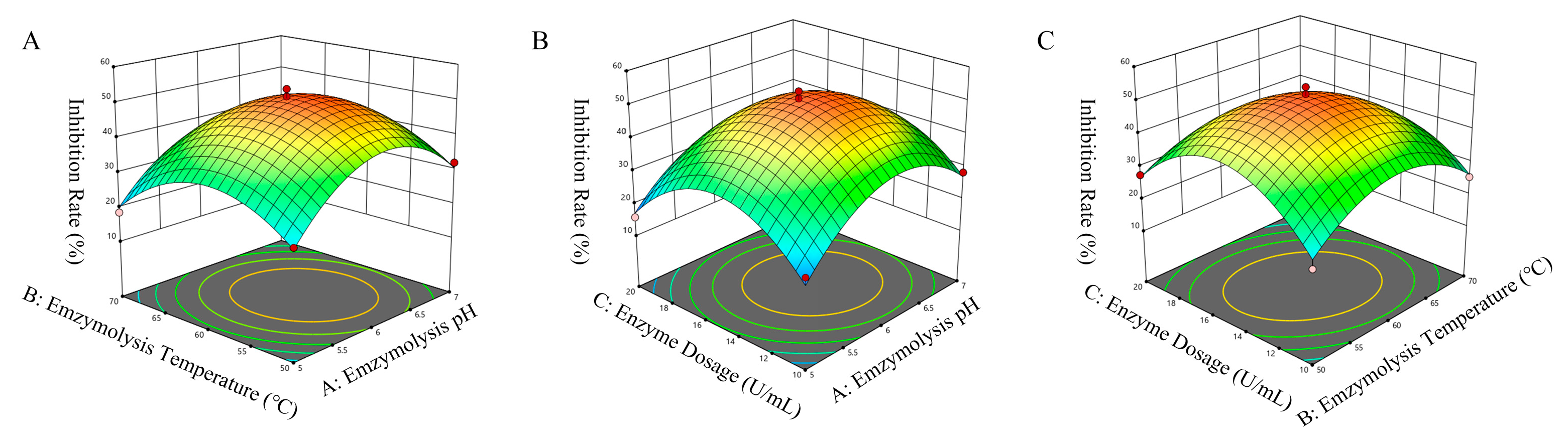Applsci 15 11057 g002 Applsci 15 11057 g002