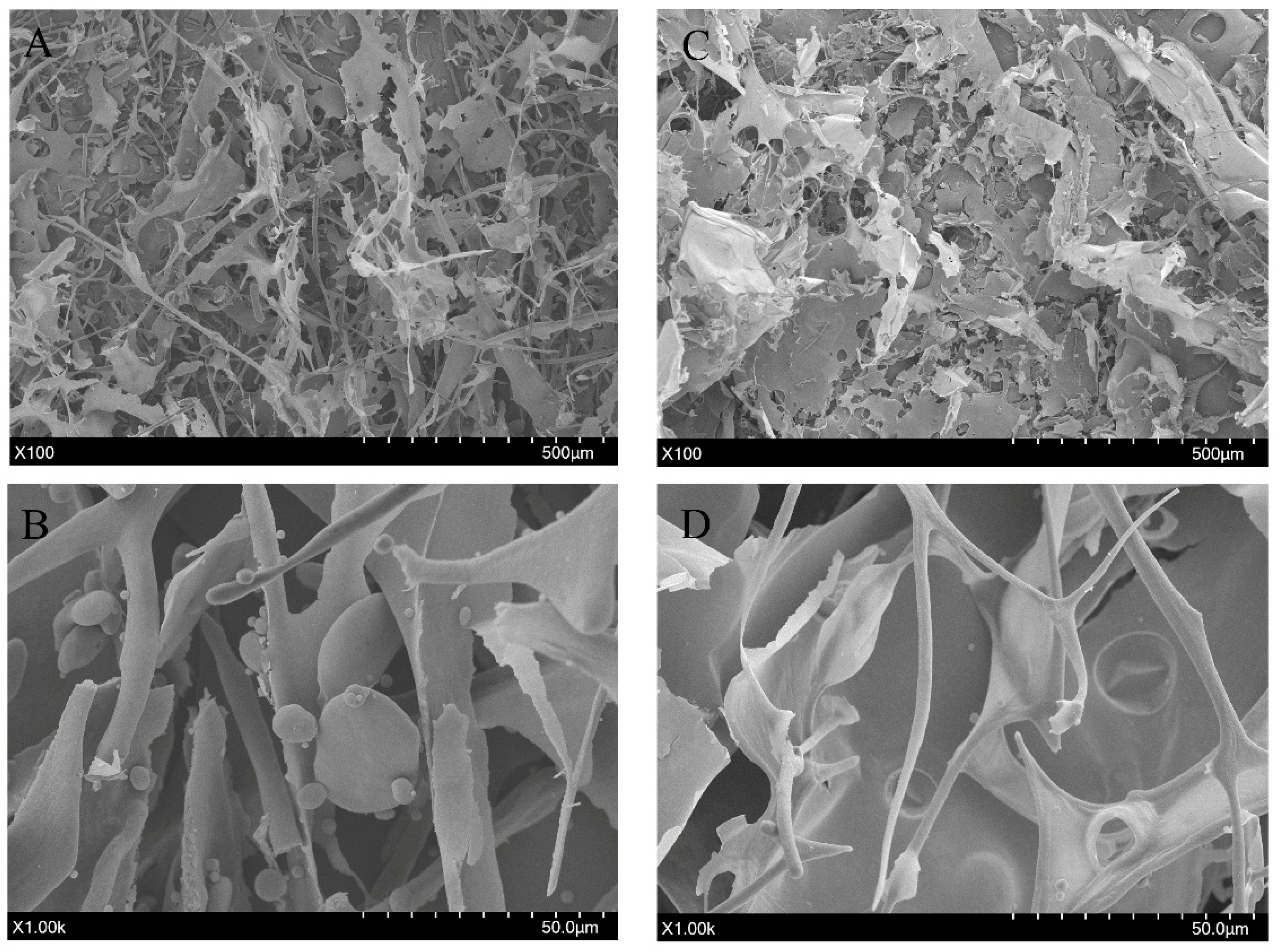 Applsci 15 11057 g010 Applsci 15 11057 g010