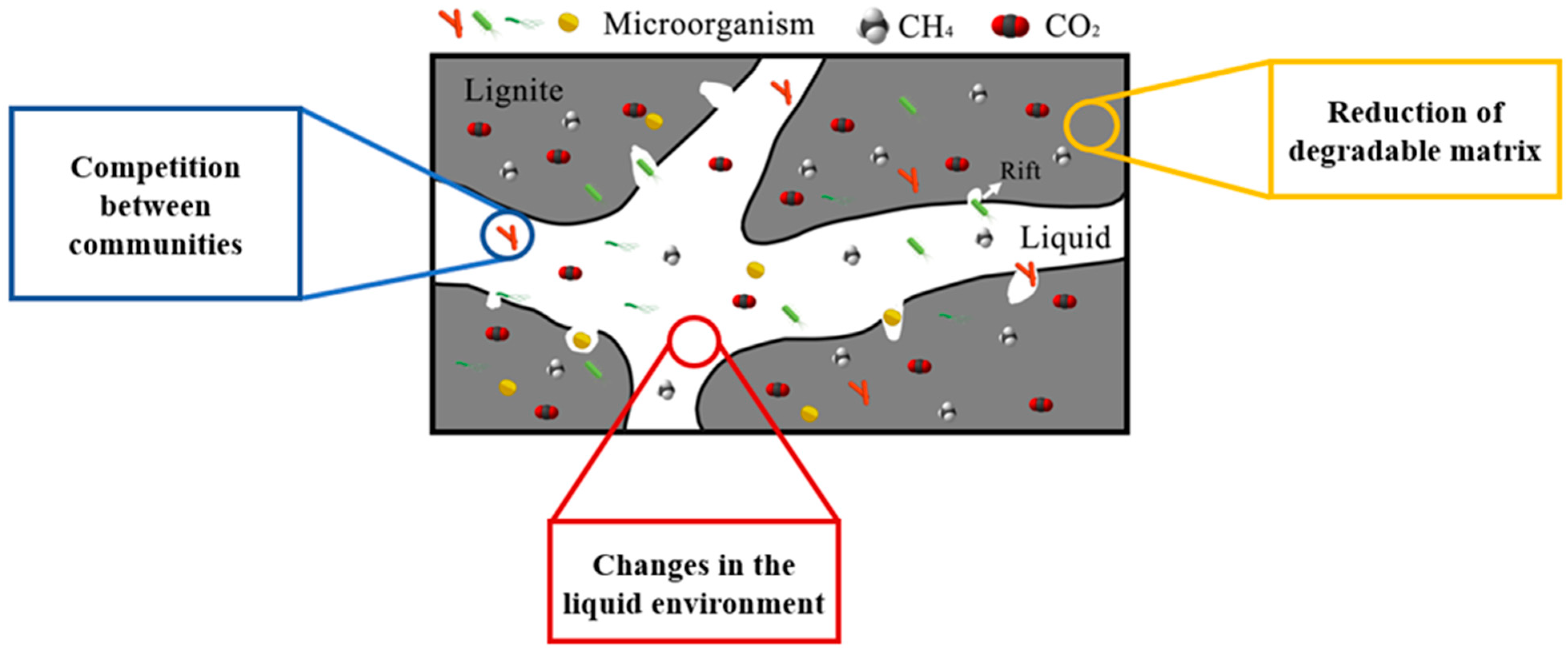Applsci 15 11068 g008