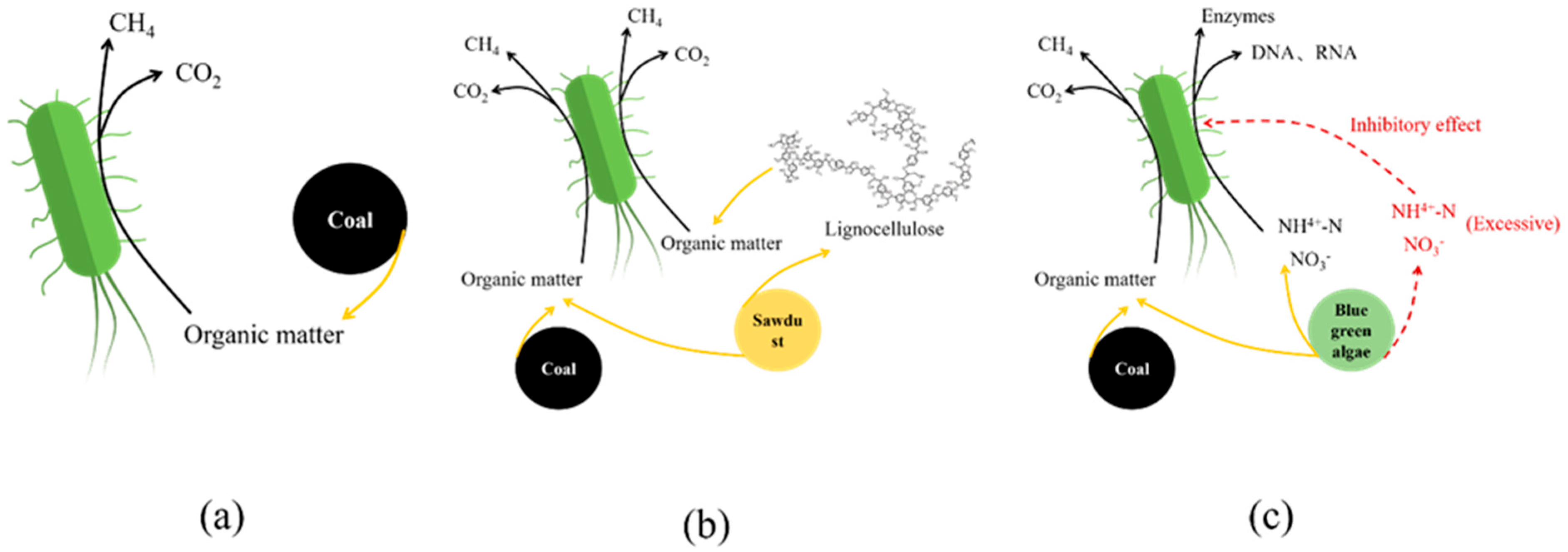 Applsci 15 11068 g009