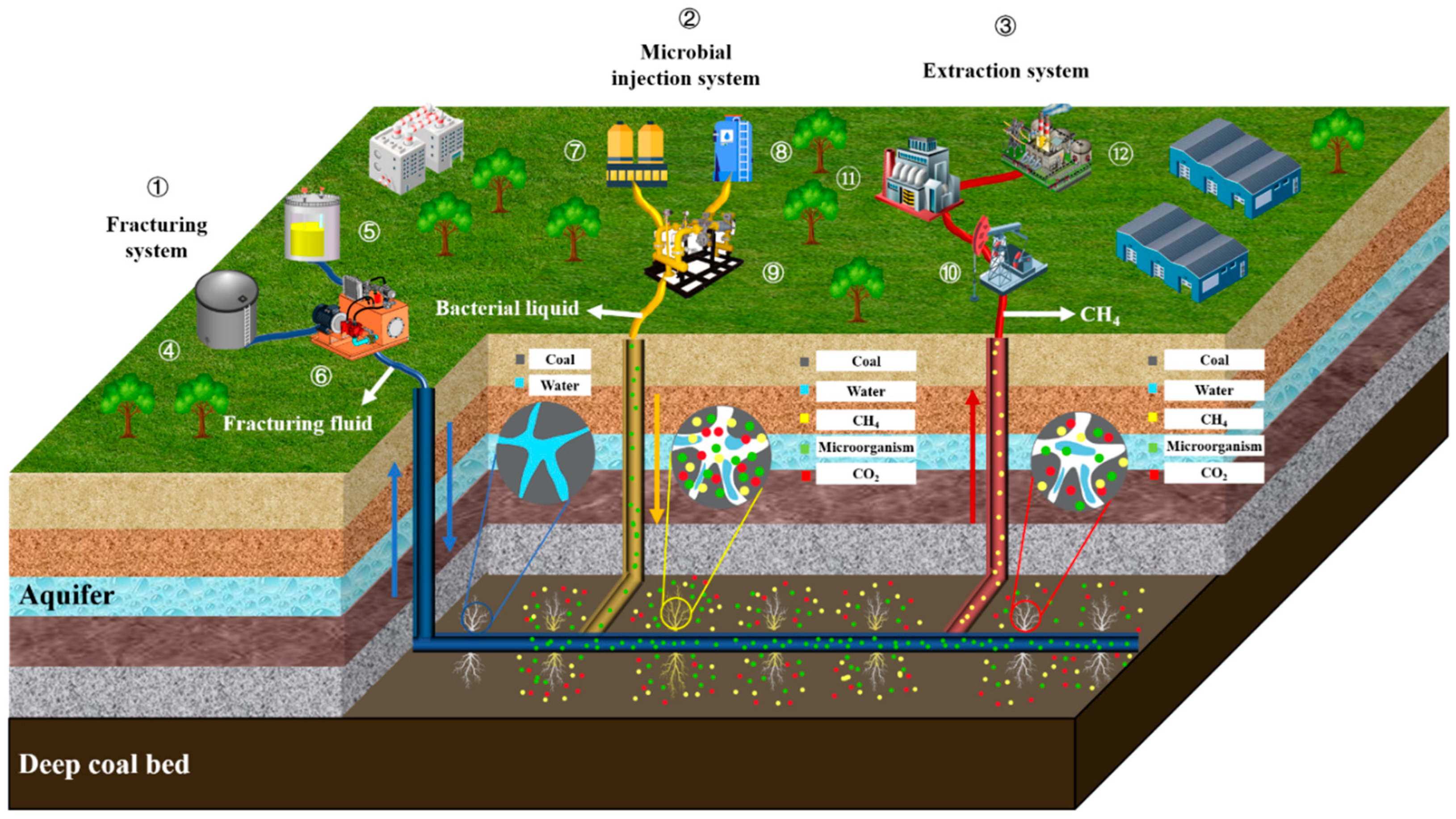 Applsci 15 11068 g012