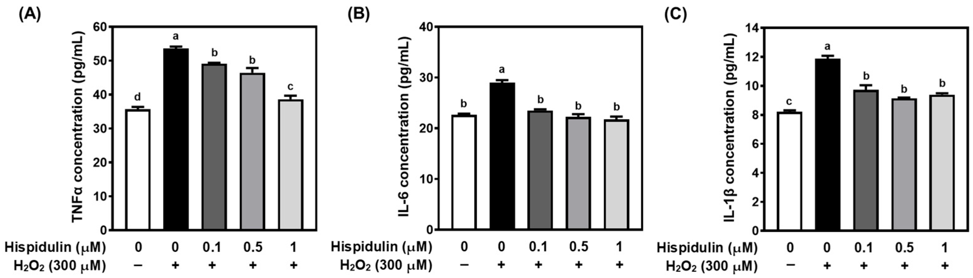 Applsci 15 11069 g003 Applsci 15 11069 g003