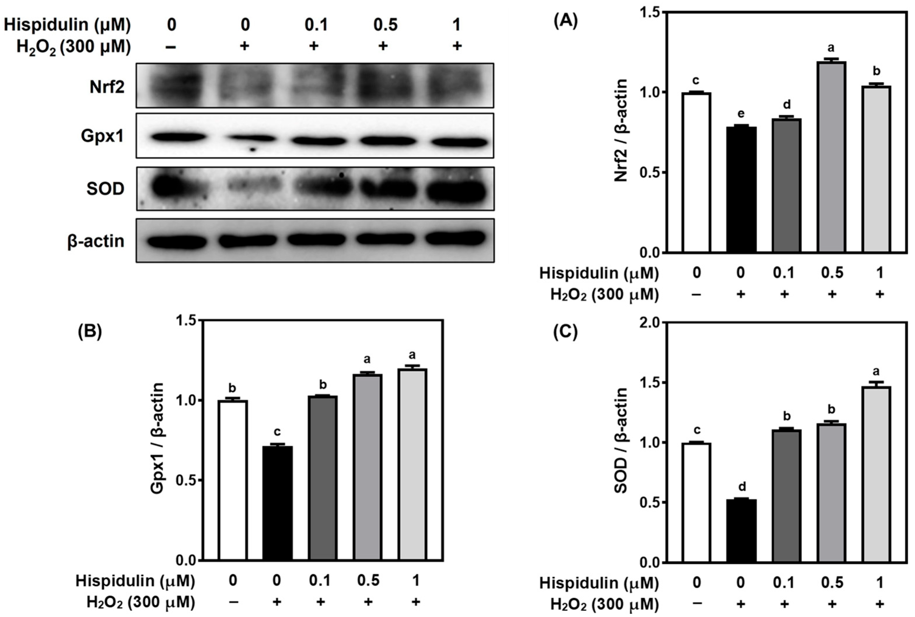 Applsci 15 11069 g004 Applsci 15 11069 g004