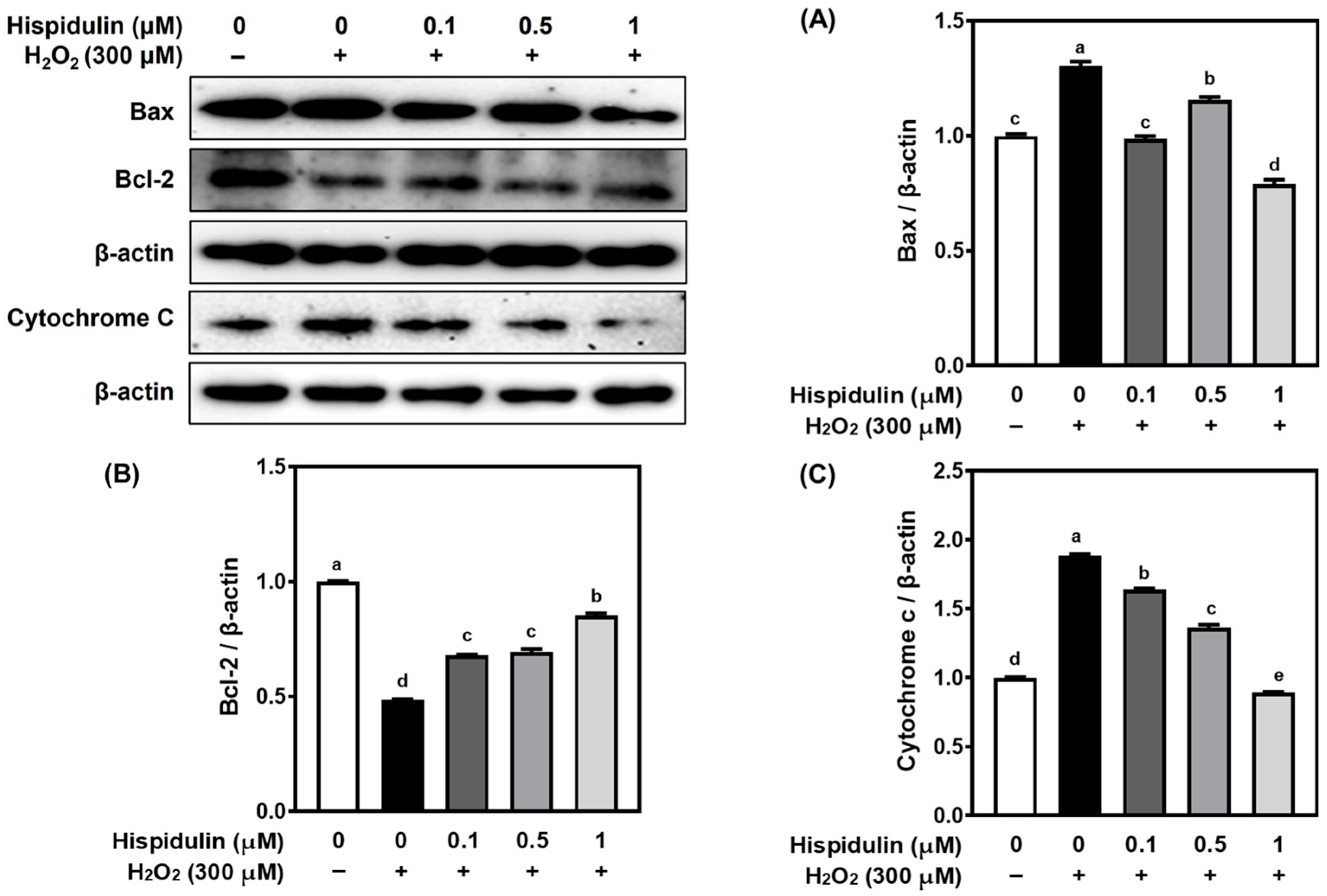 Applsci 15 11069 g005 Applsci 15 11069 g005