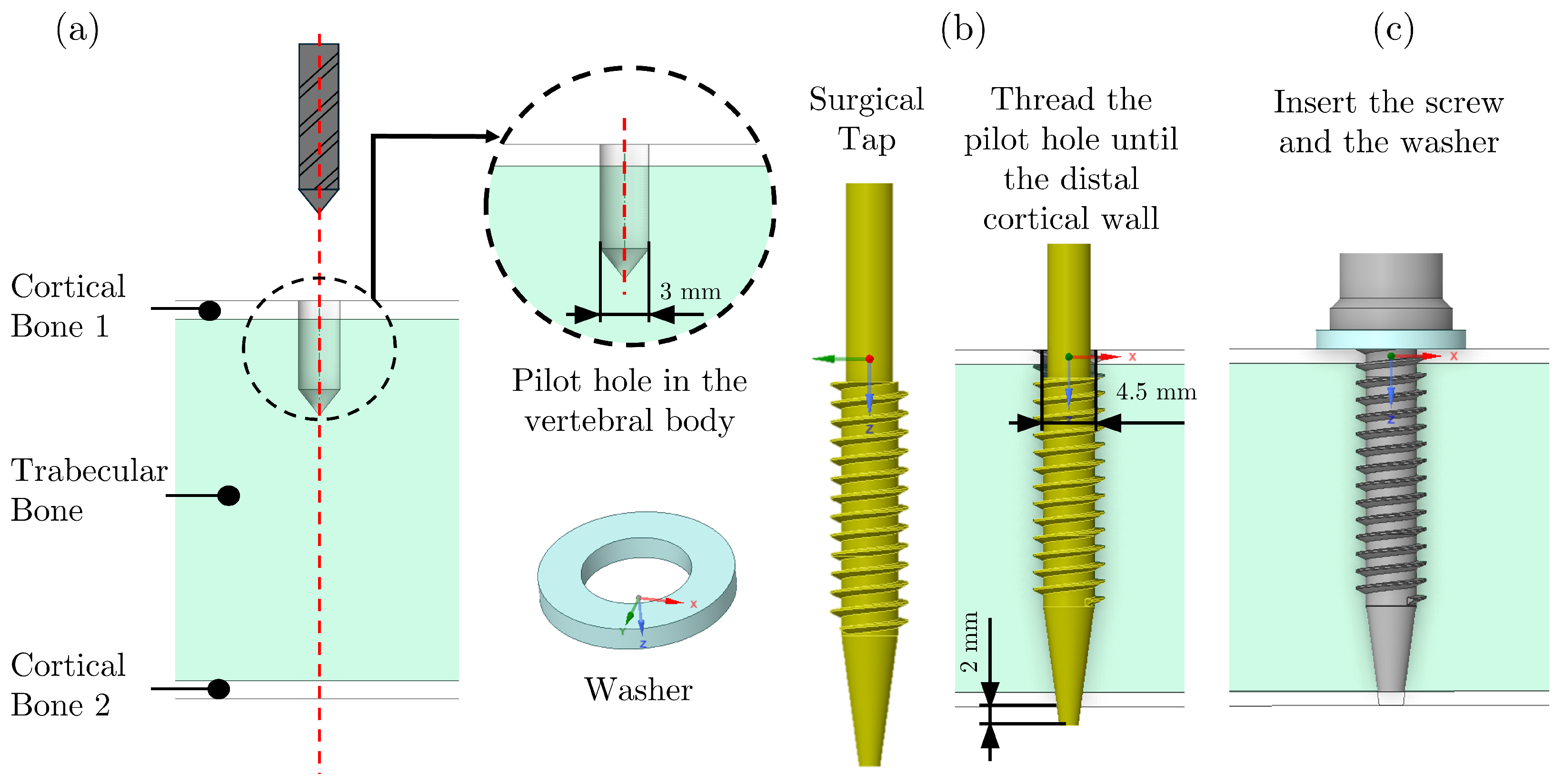 Applsci 15 11074 g001