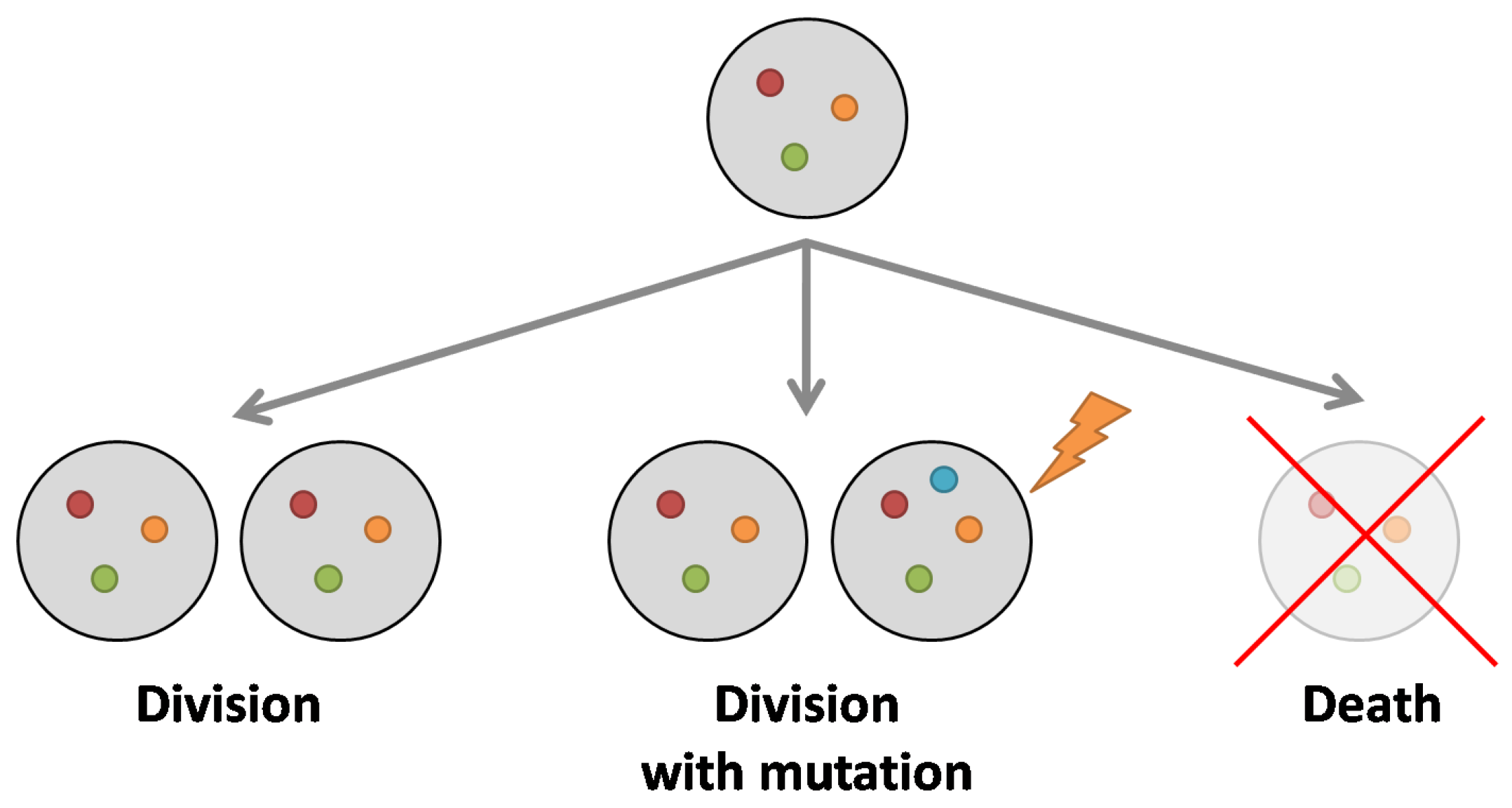 Applsci 15 11090 g001 Applsci 15 11090 g001