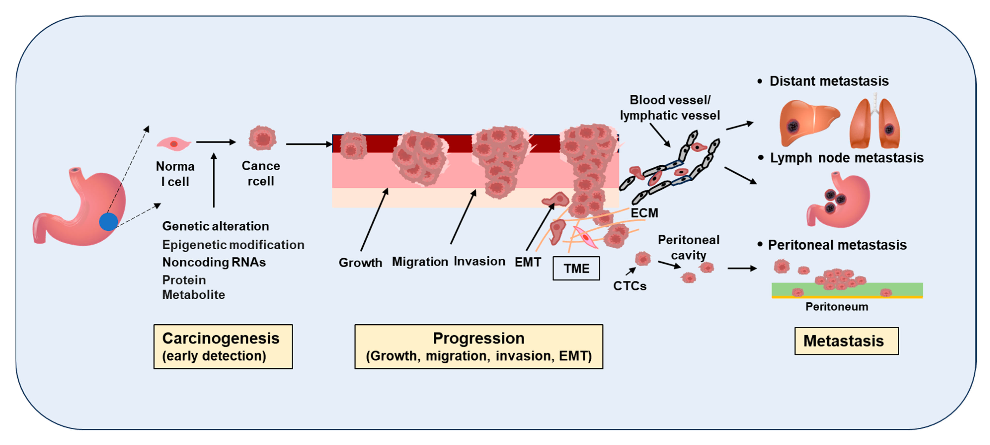 Applsci 15 11092 g001