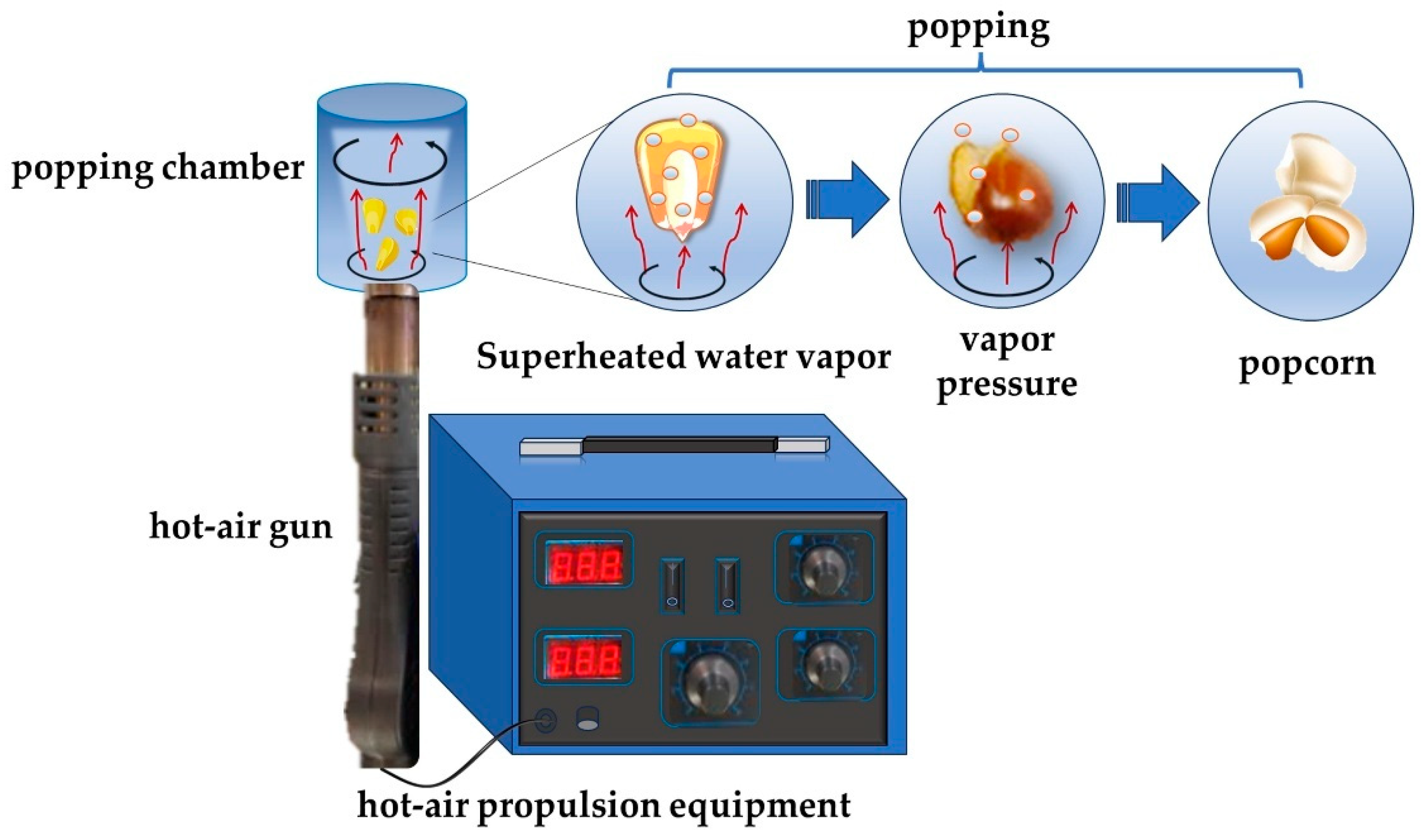 Applsci 15 11102 g001 Applsci 15 11102 g001