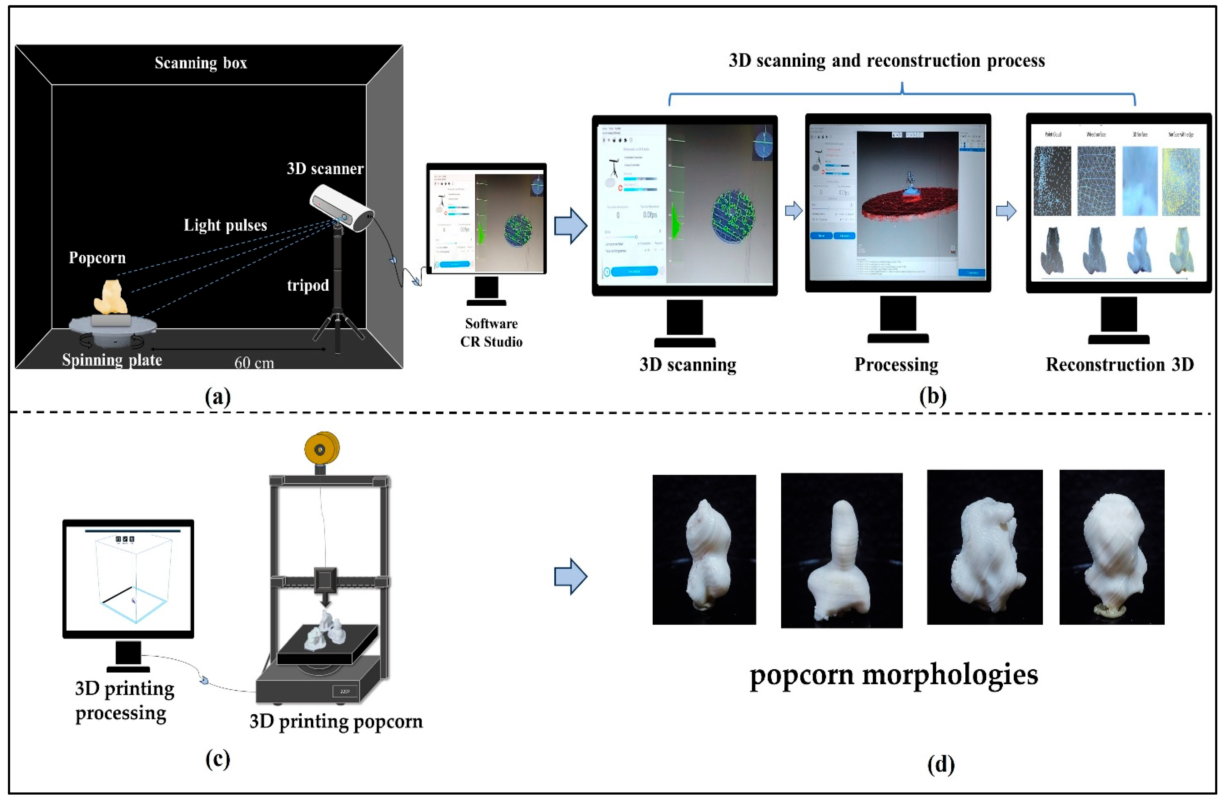 Applsci 15 11102 g002 Applsci 15 11102 g002