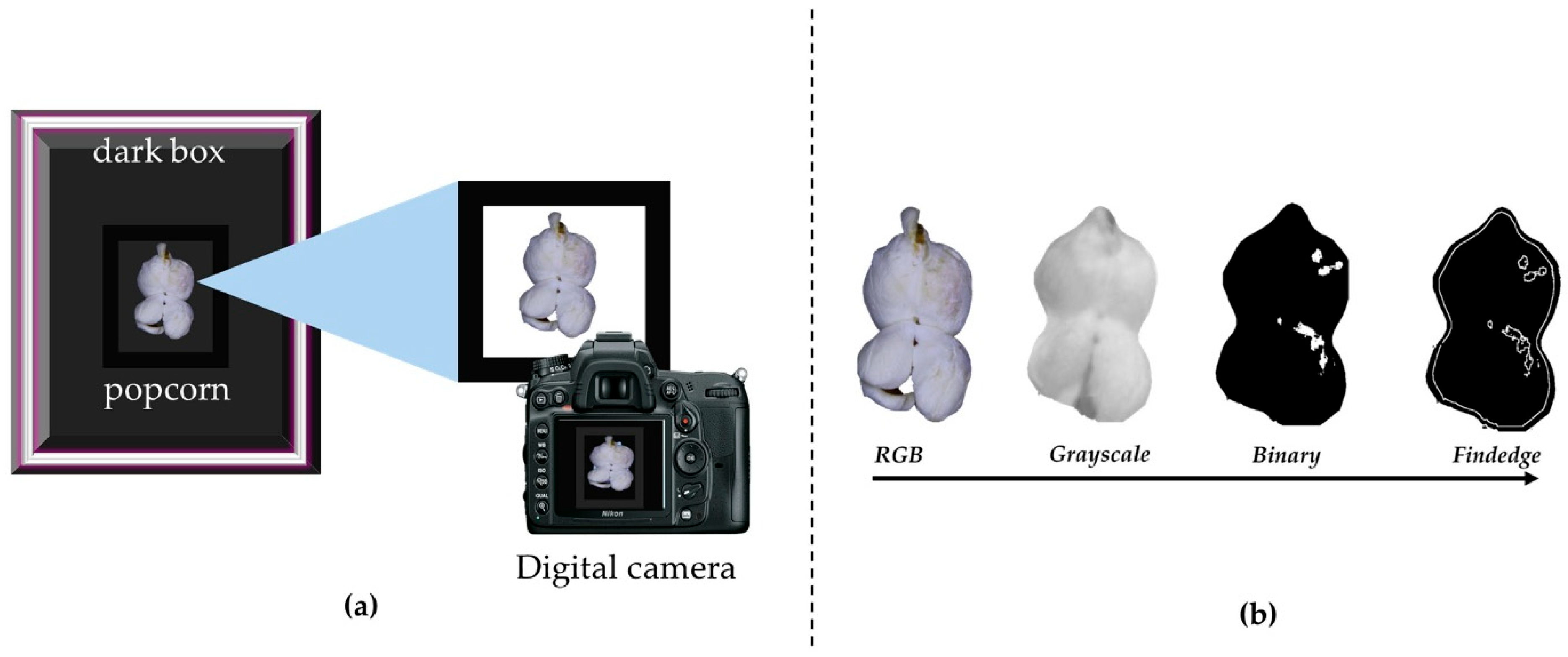 Applsci 15 11102 g004 Applsci 15 11102 g004