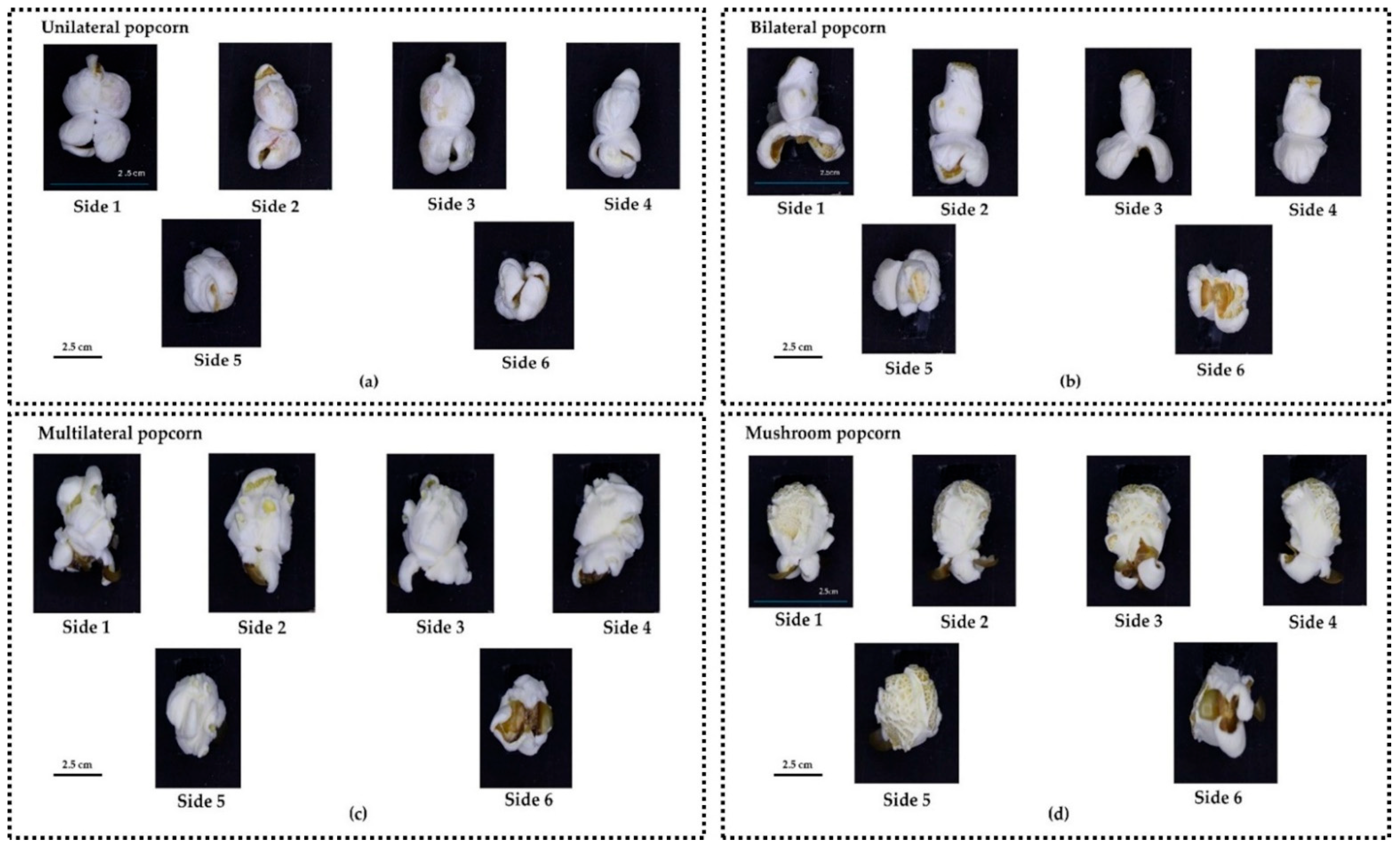 Applsci 15 11102 g005 Applsci 15 11102 g005