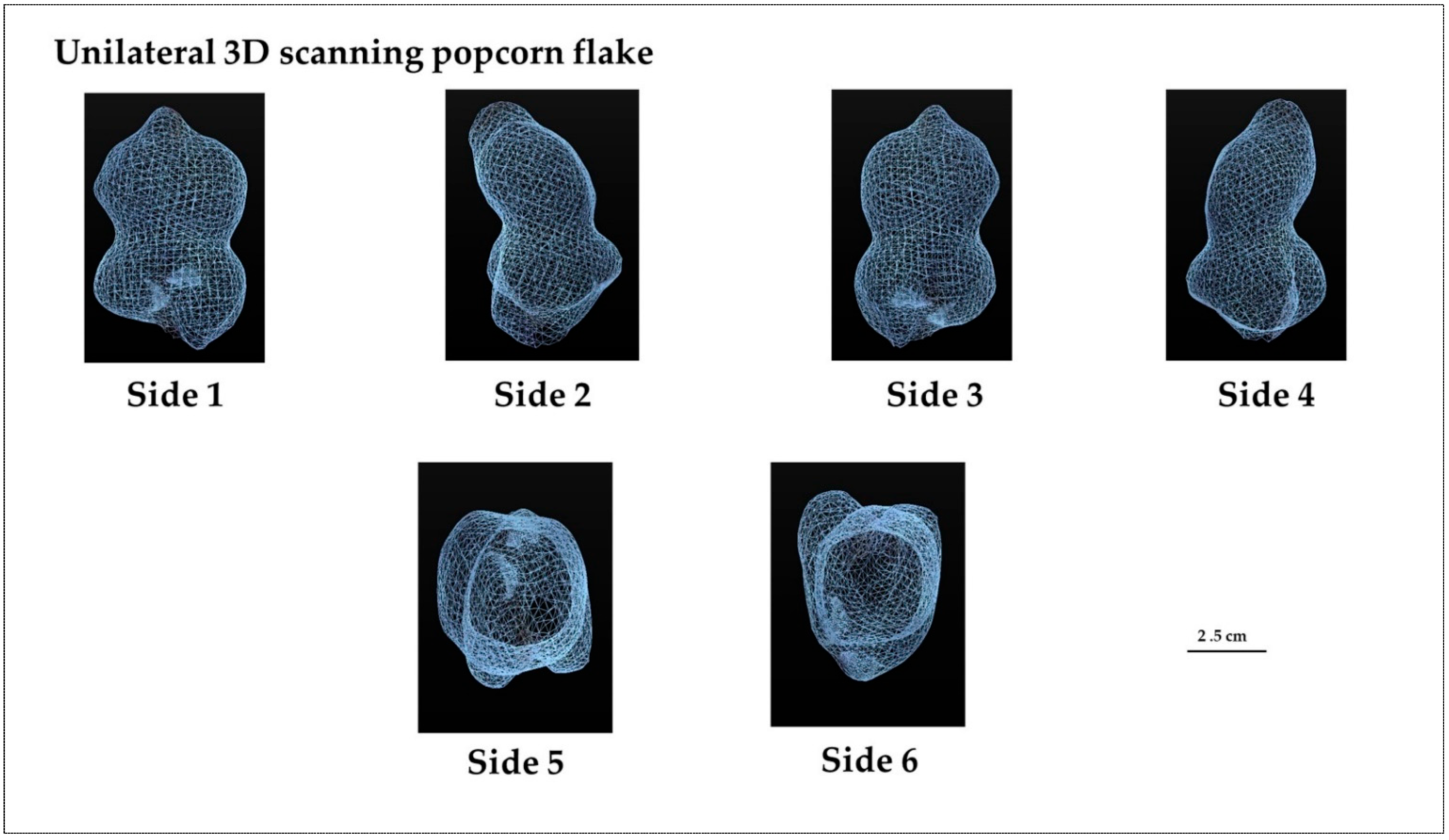 Applsci 15 11102 g006 Applsci 15 11102 g006