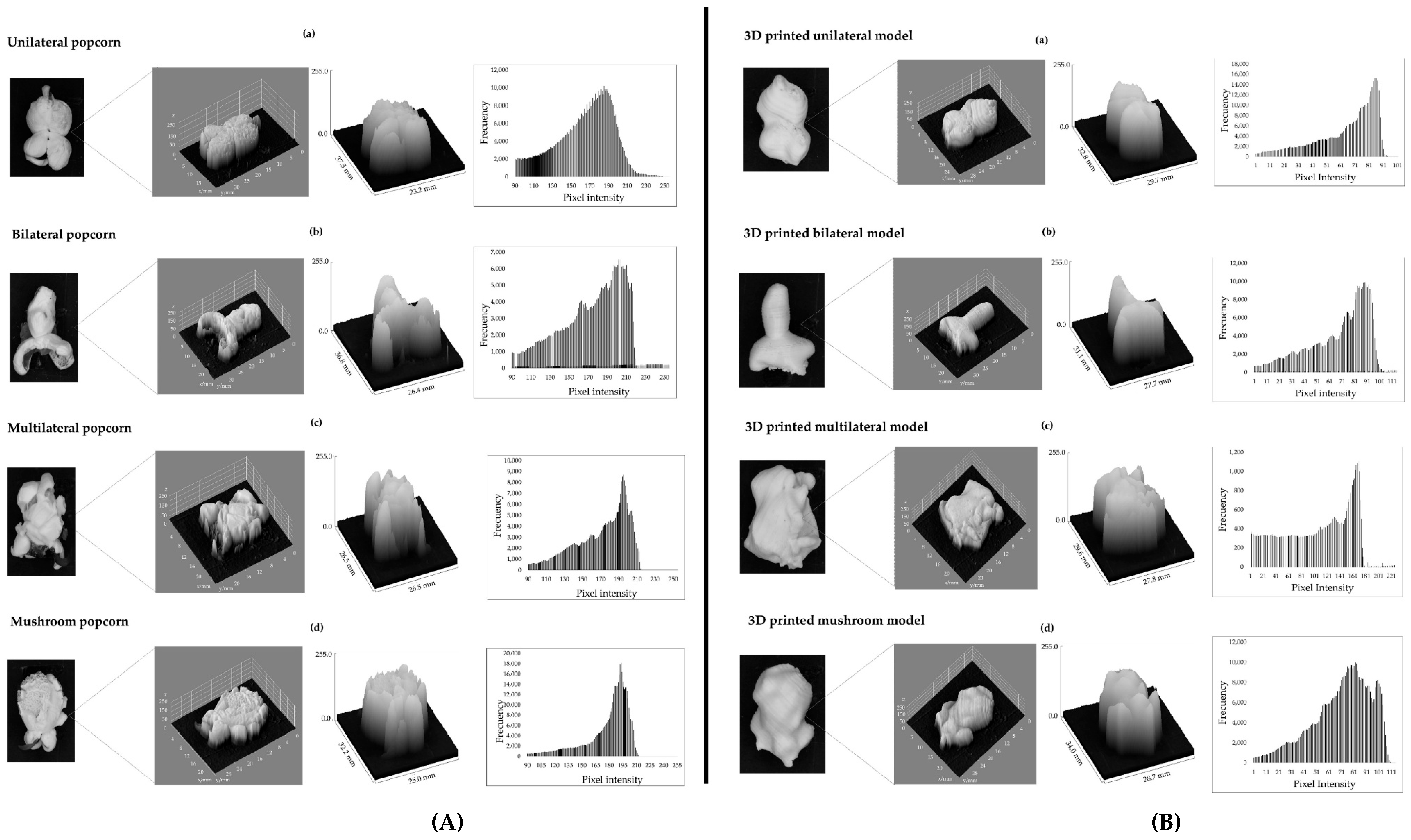 Applsci 15 11102 g010 Applsci 15 11102 g010