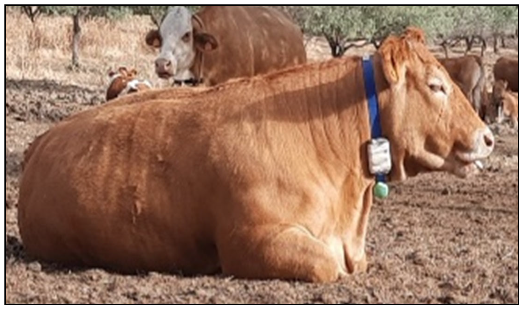 Applsci 15 11116 g003