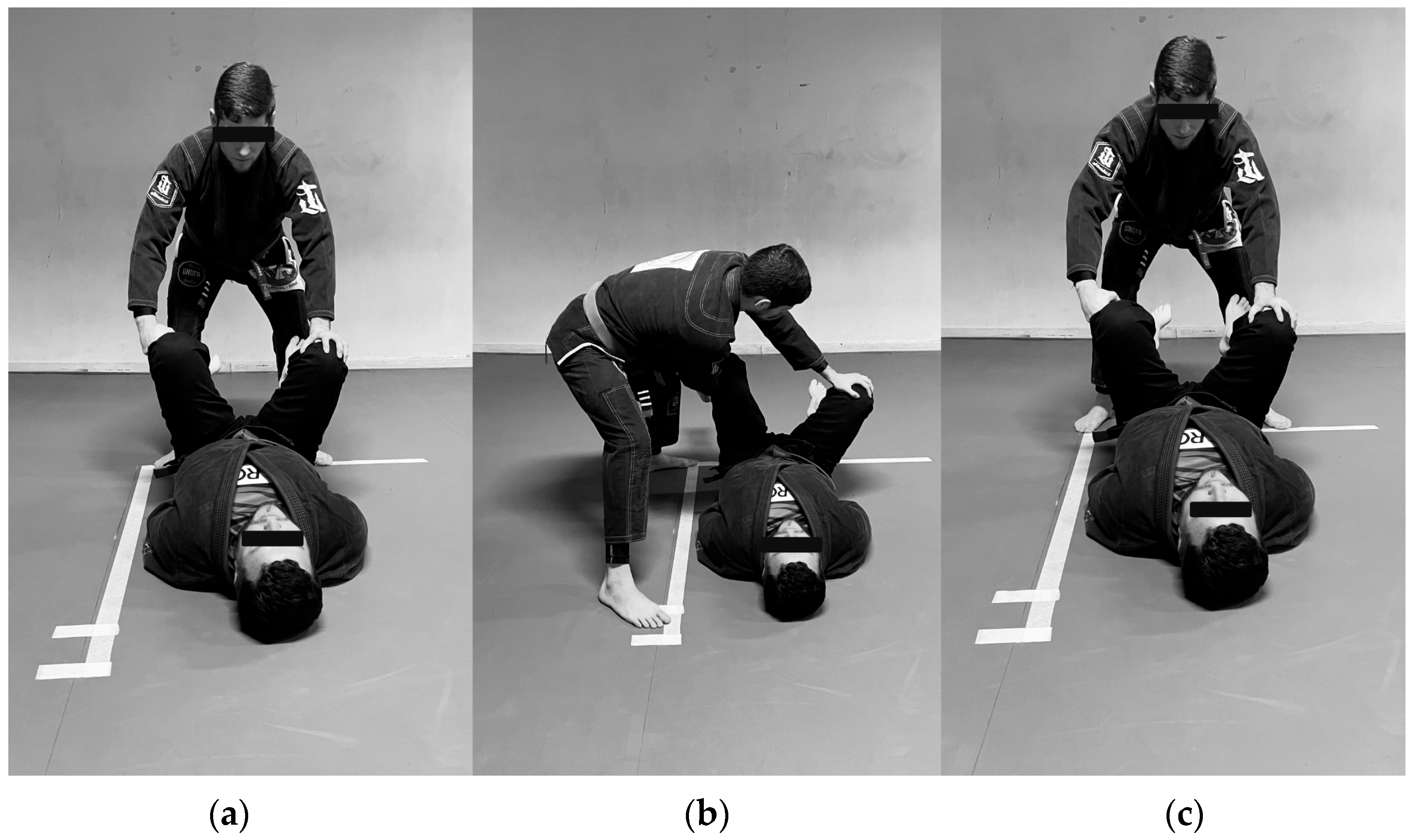 Applsci 15 11124 g001 Applsci 15 11124 g001