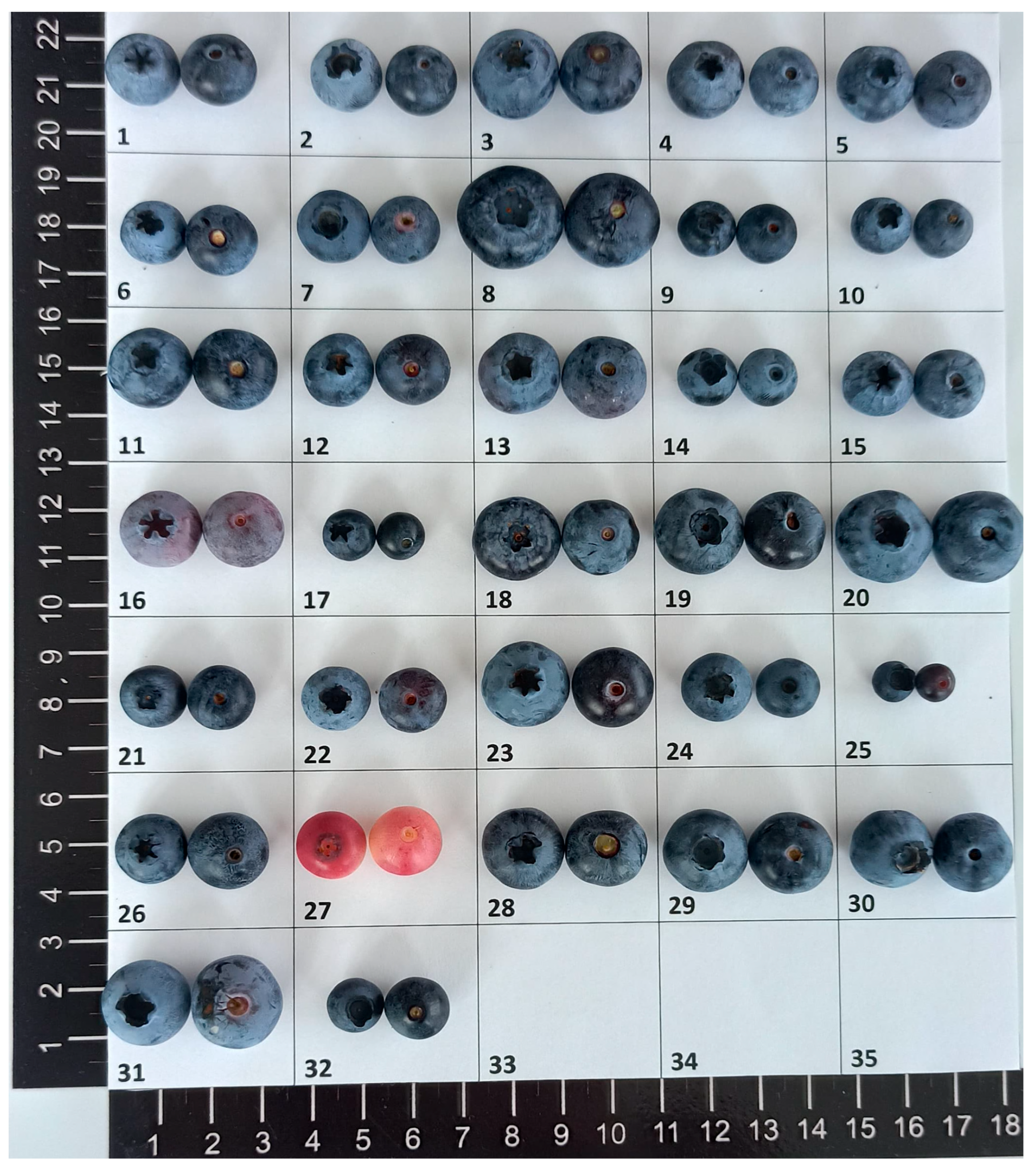 Applsci 15 11158 g002