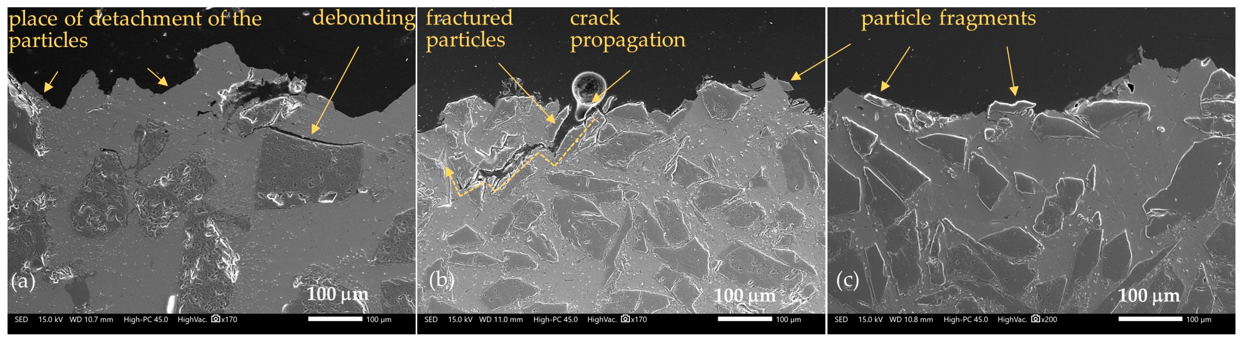 Applsci 15 11173 g012 Applsci 15 11173 g012