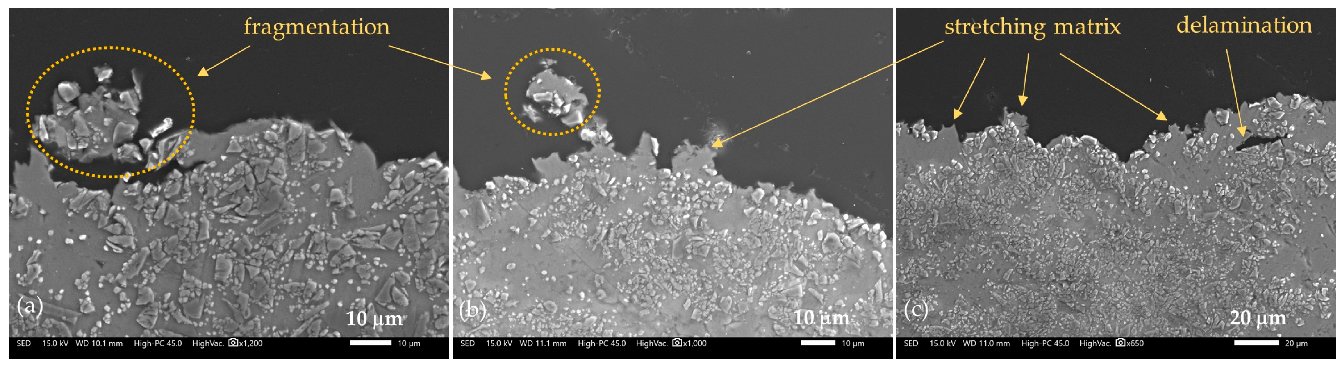 Applsci 15 11173 g013 Applsci 15 11173 g013