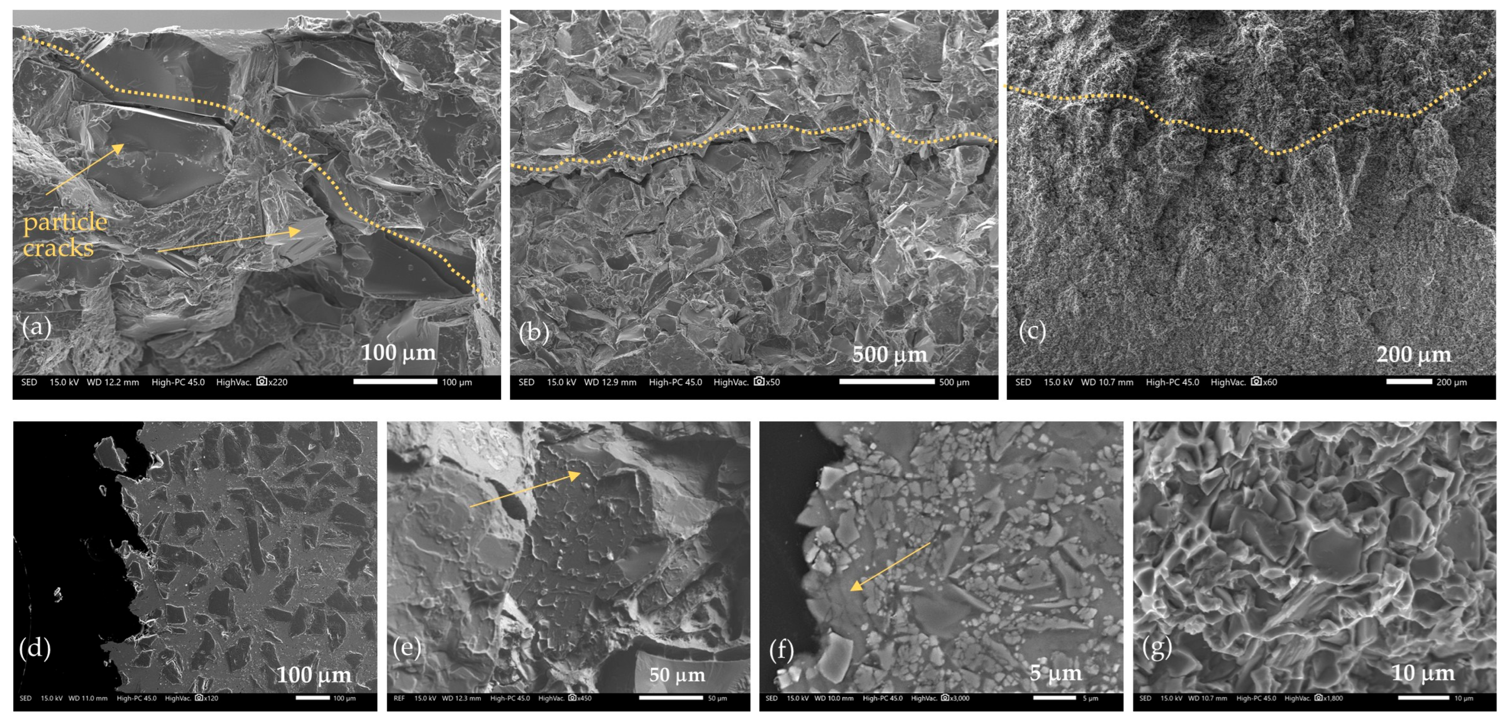 Applsci 15 11173 g019 Applsci 15 11173 g019