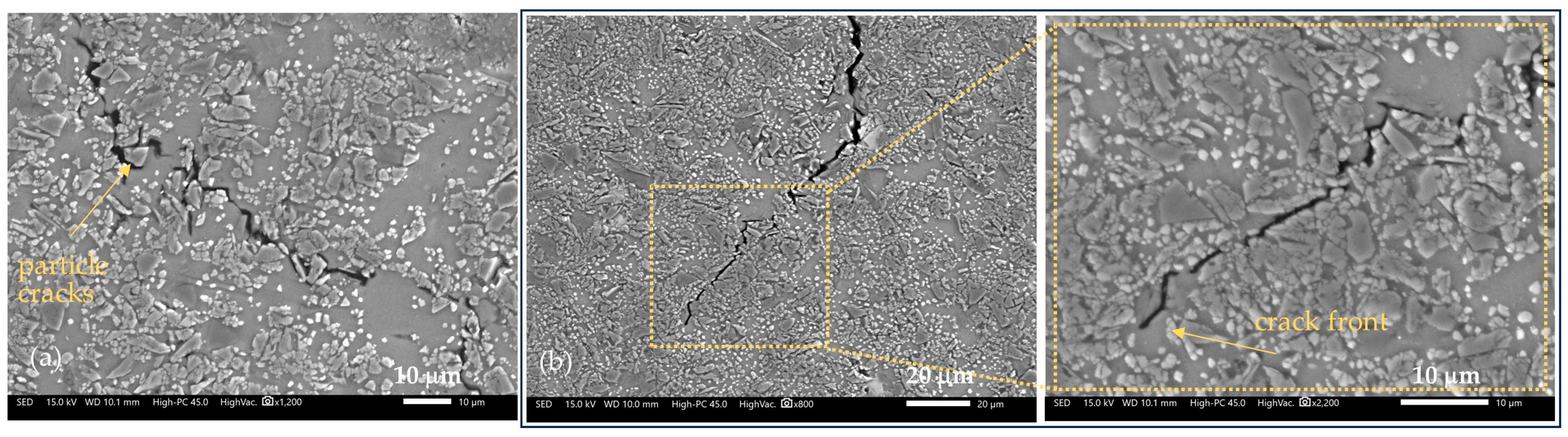 Applsci 15 11173 g020 Applsci 15 11173 g020