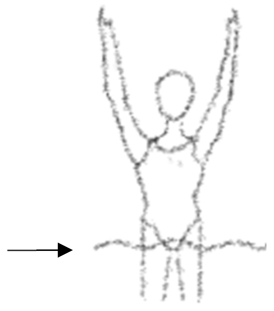 Applsci 15 11176 g001