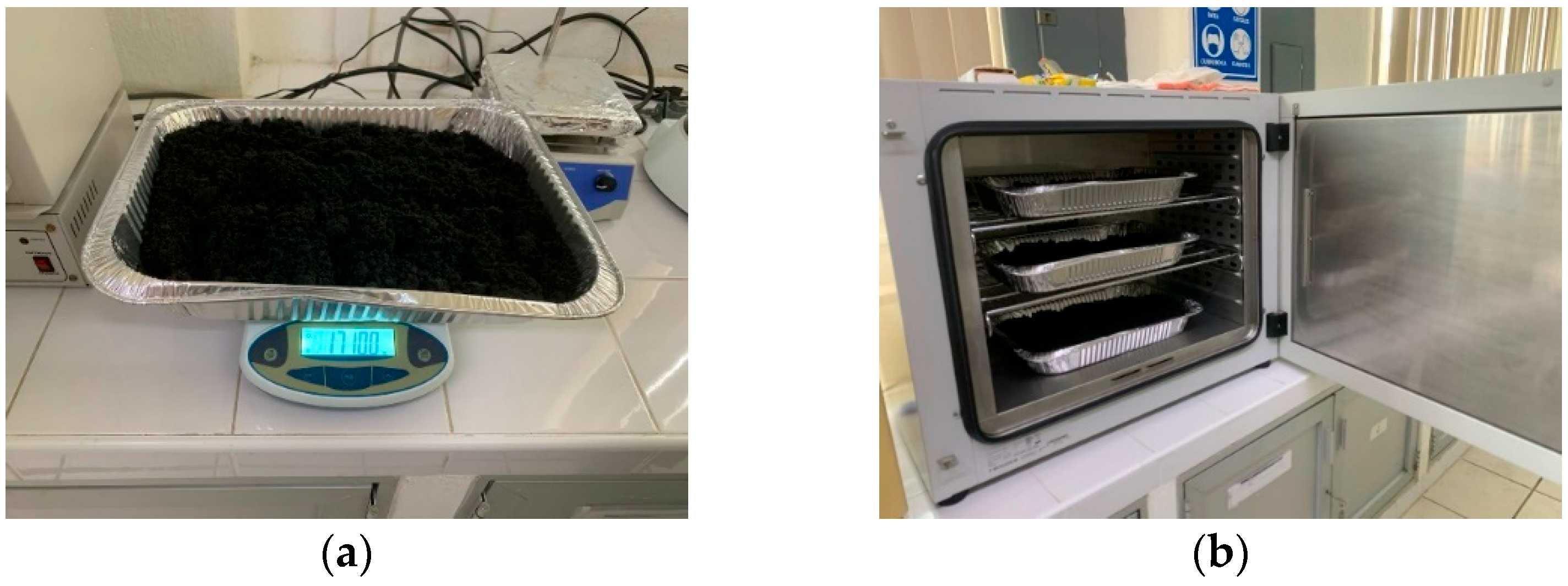 Applsci 15 11232 g002