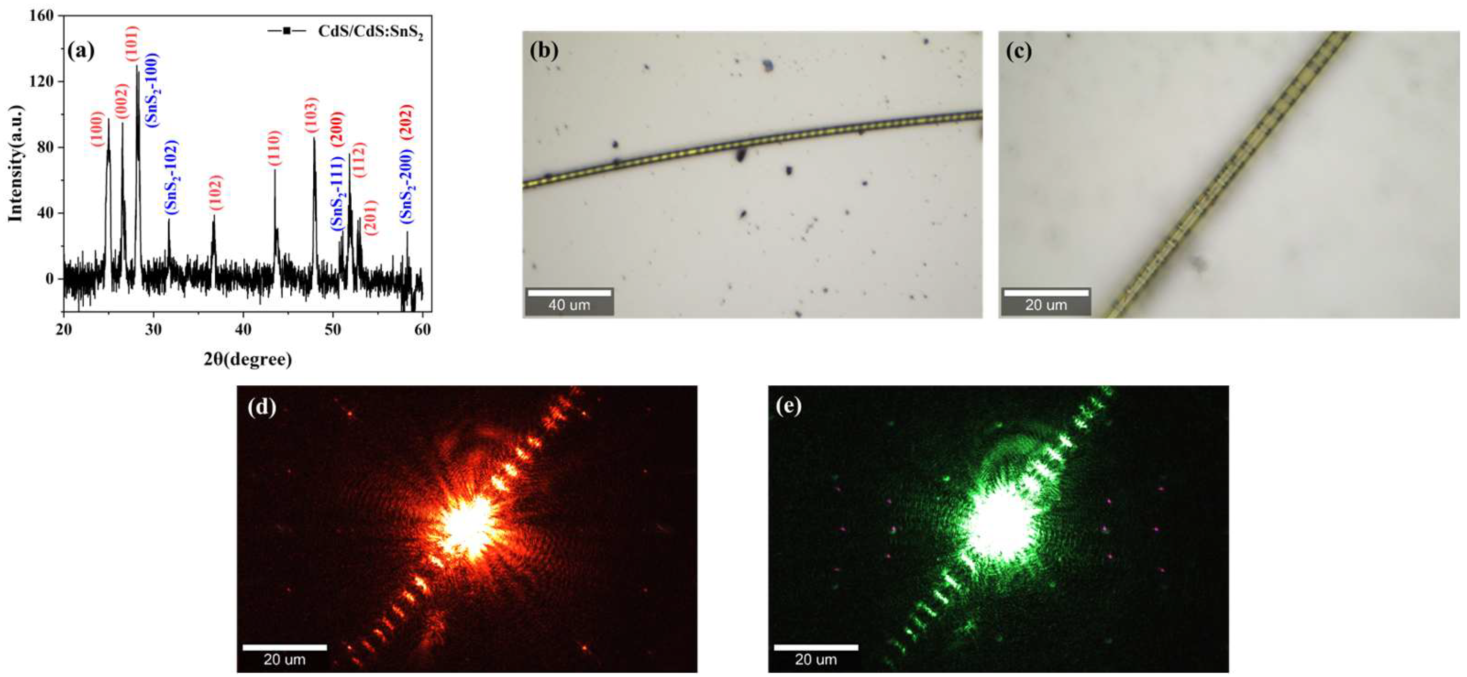 Applsci 15 11243 g001 Applsci 15 11243 g001