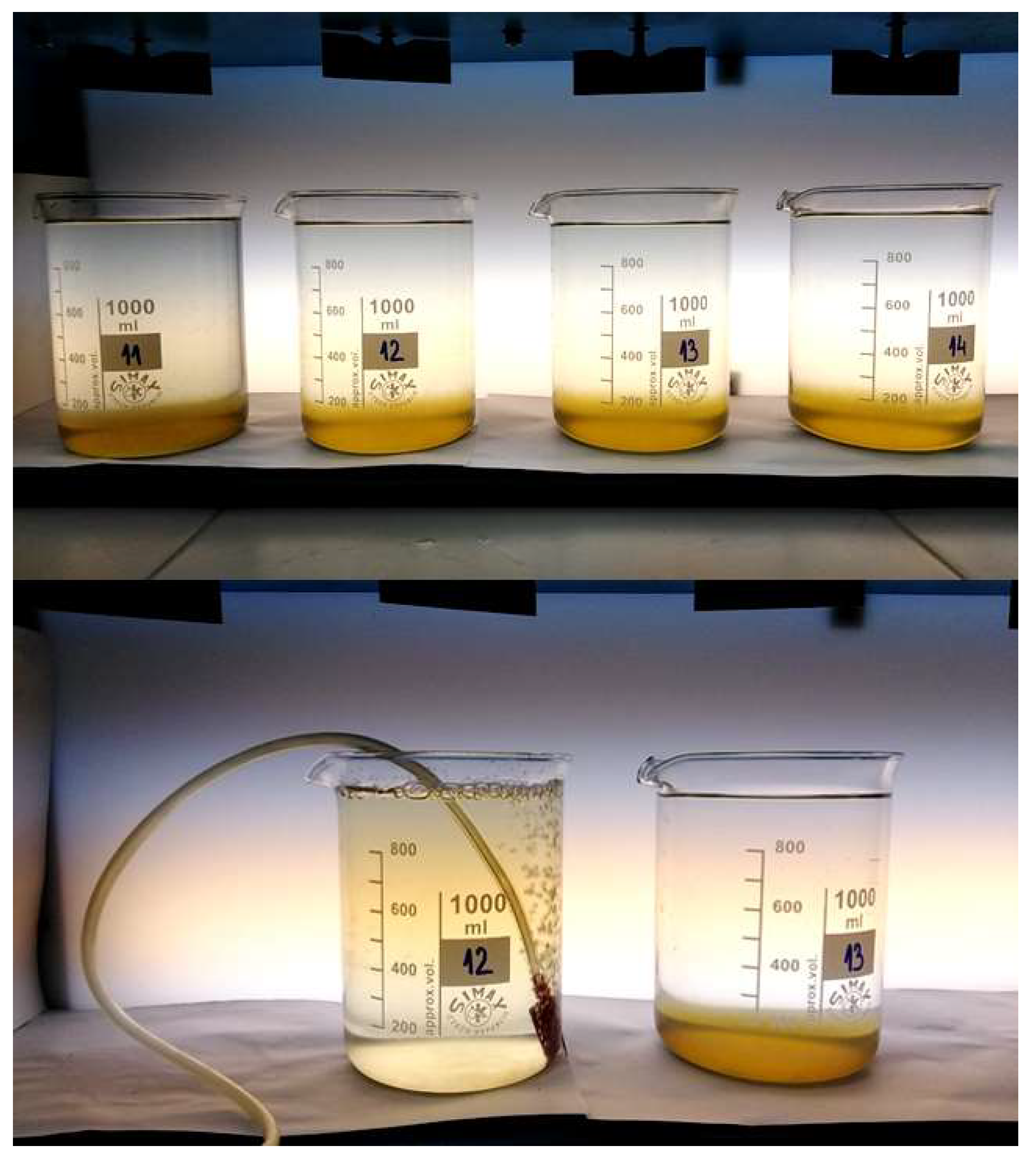 Applsci 15 11255 g003