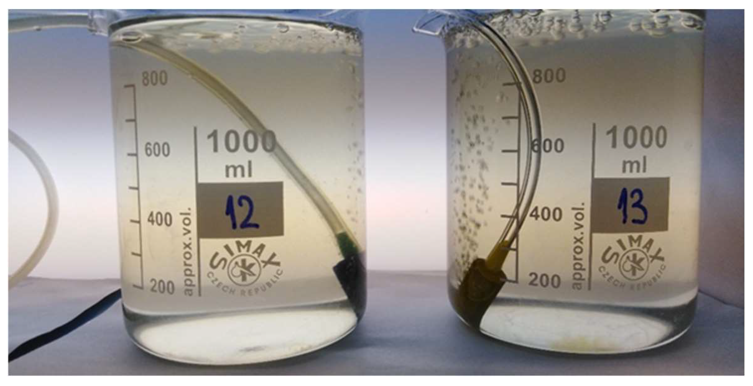 Applsci 15 11255 g005