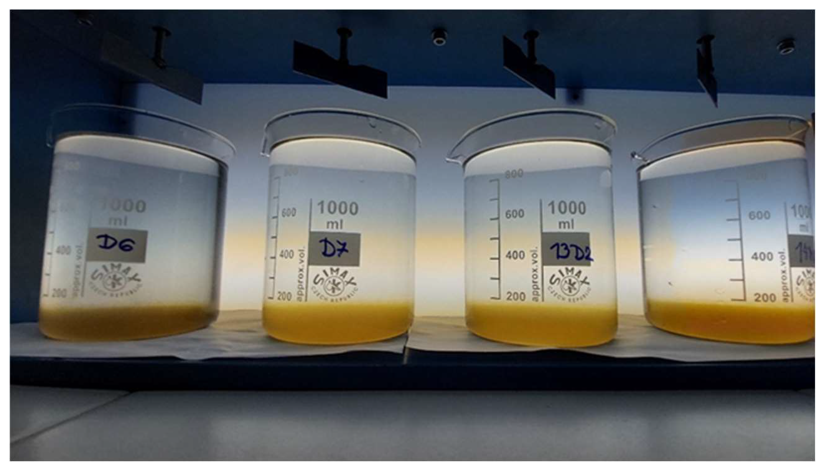 Applsci 15 11255 g010