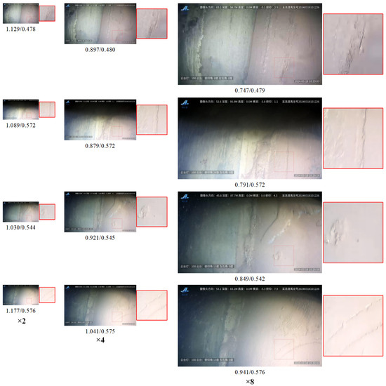 KOU様オーダー Targeted Positron Emission Tomography-Tracked Biomimetic