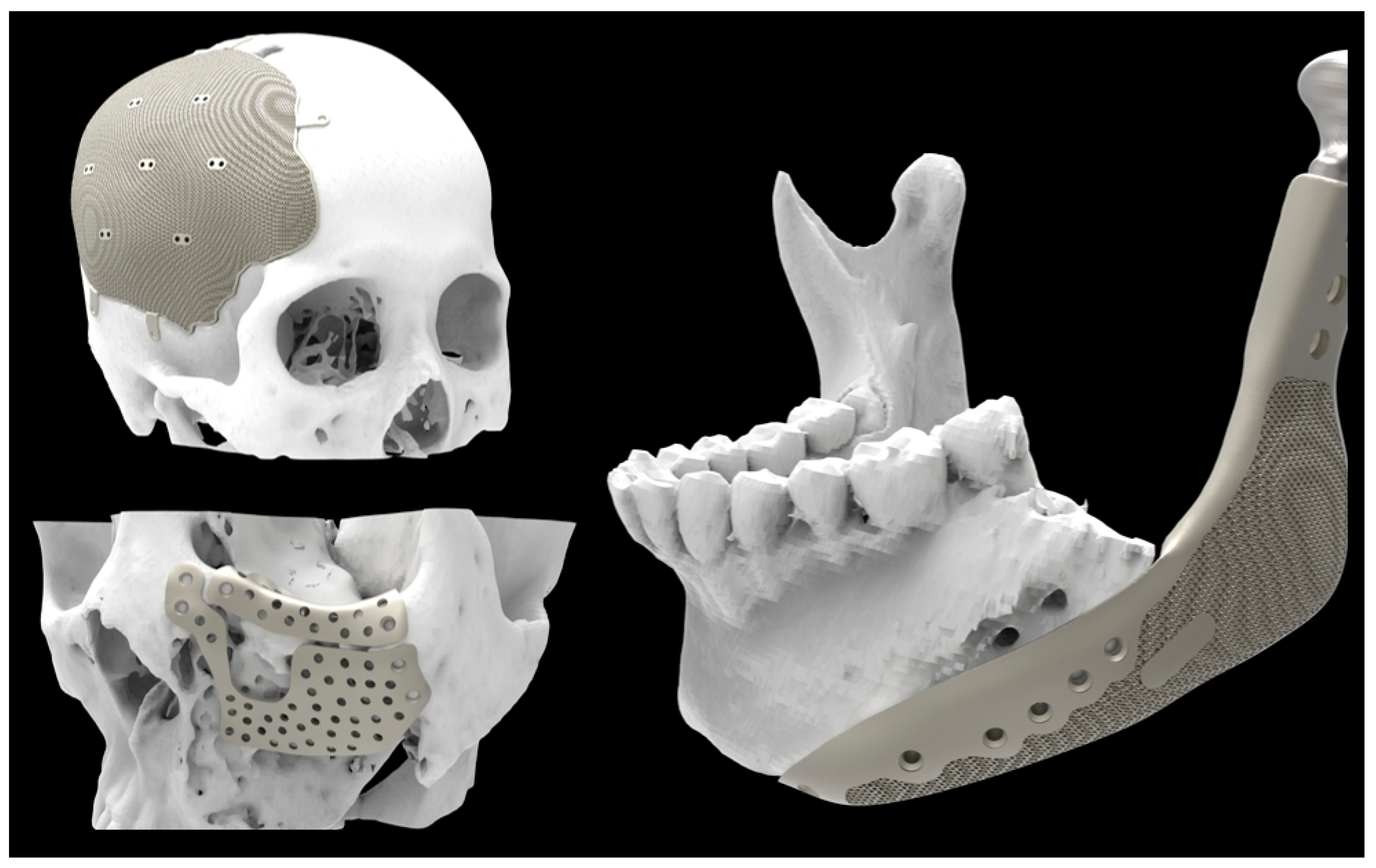 Applsci 15 11264 g008