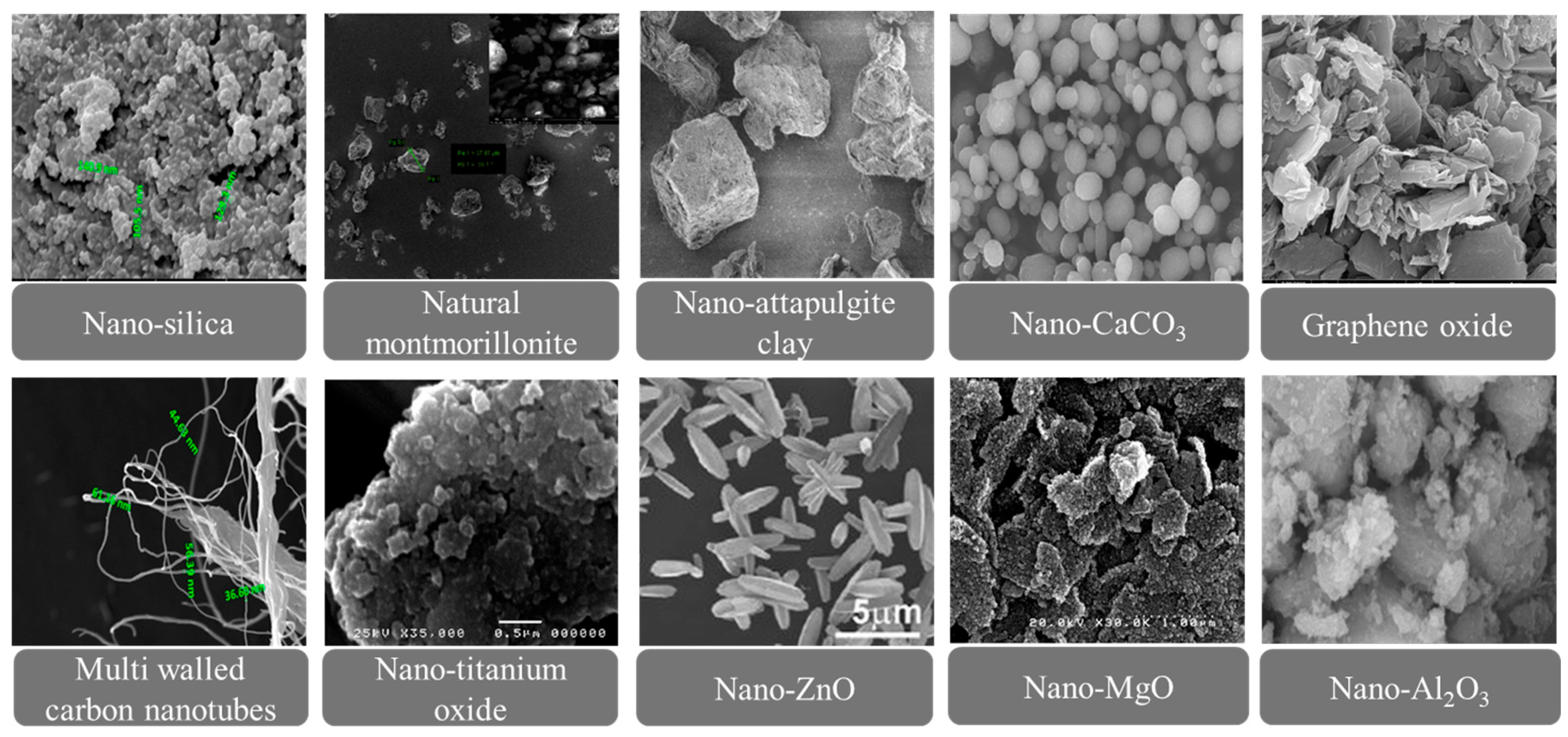 Applsci 15 11267 g005 Applsci 15 11267 g005