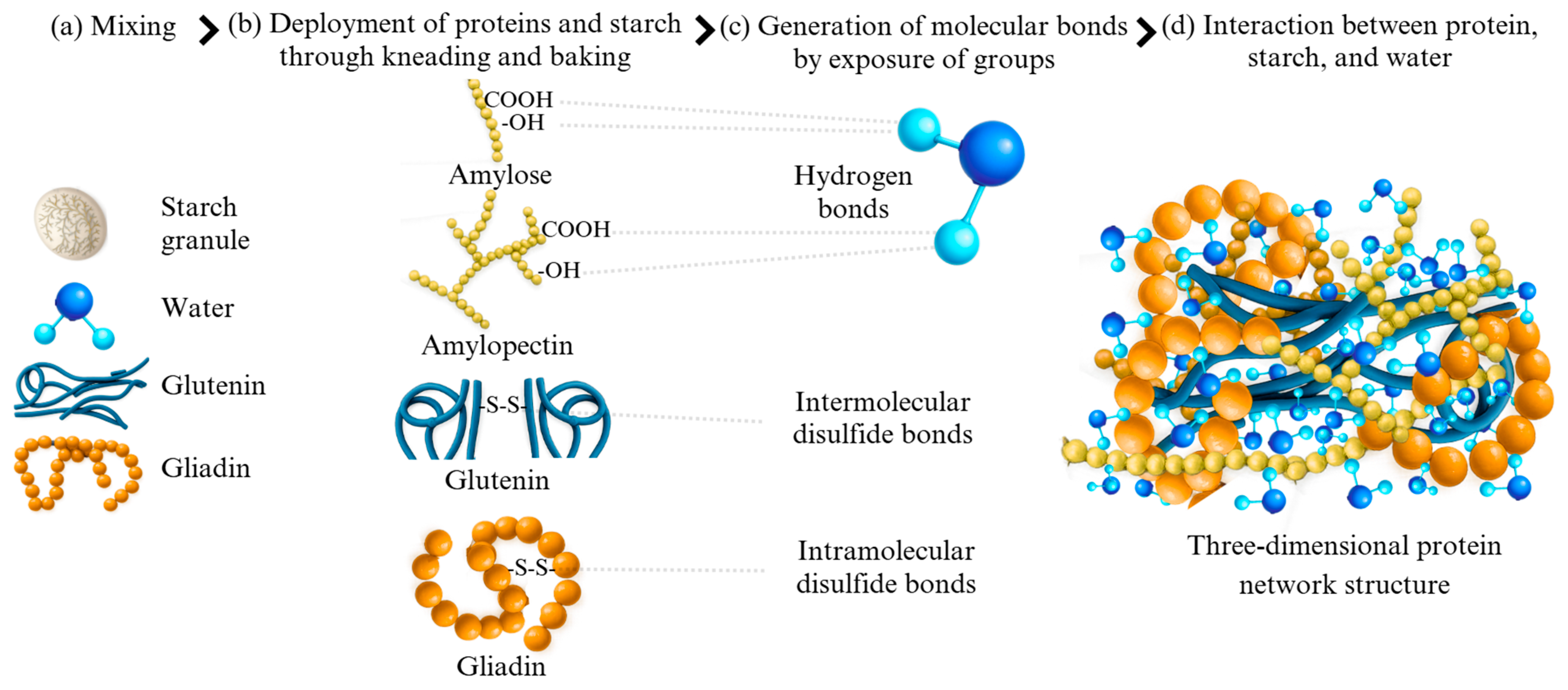 Applsci 15 11279 g002 Applsci 15 11279 g002